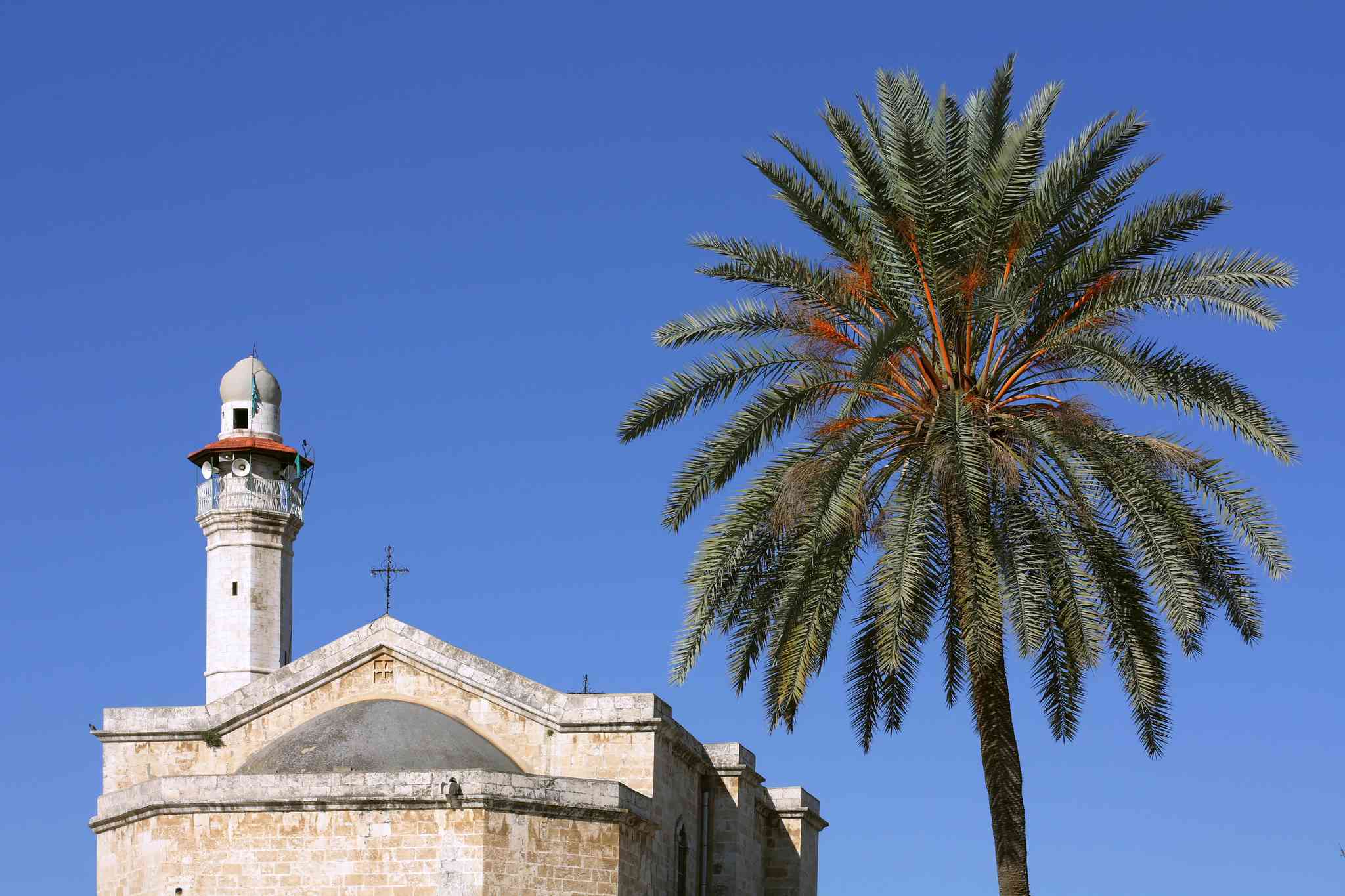 Scenic view of Lod - private day trip from Jerusalem - photo 2