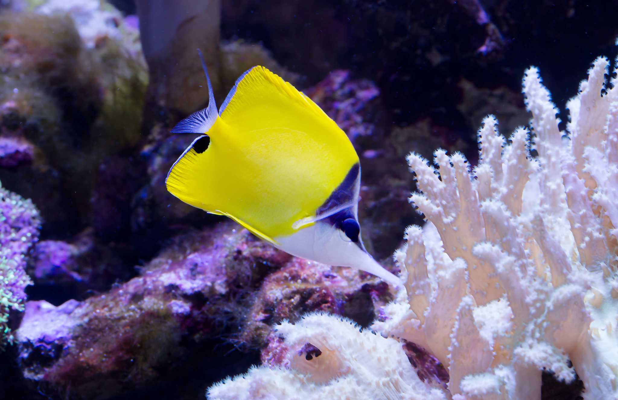 在 从 east-hampton-ny-us 到 new-york-city-ny-us 的途中，参观 Long Island Aquarium ，通过 Daytrip