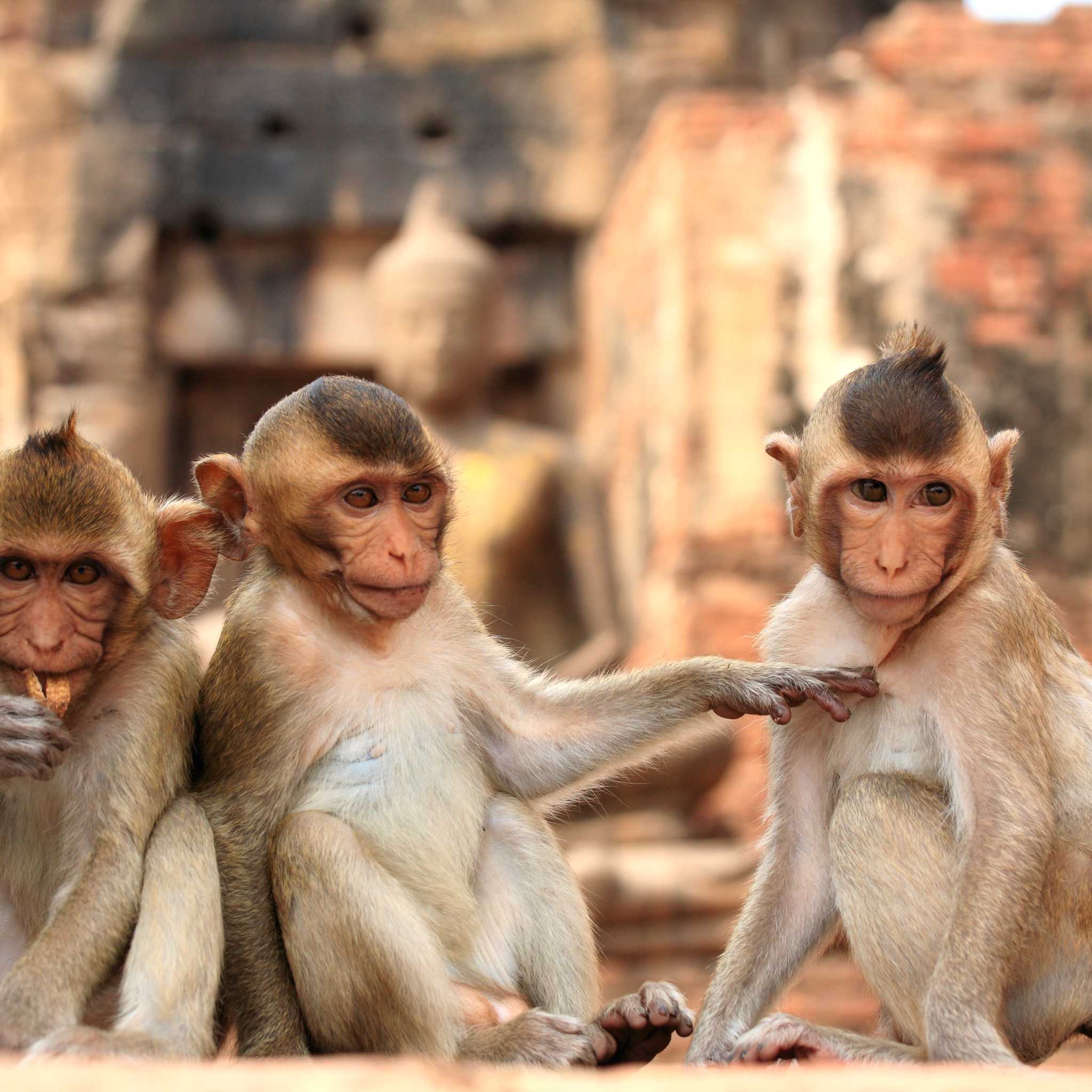 ๋กญ๋ถ๋ฆฌ