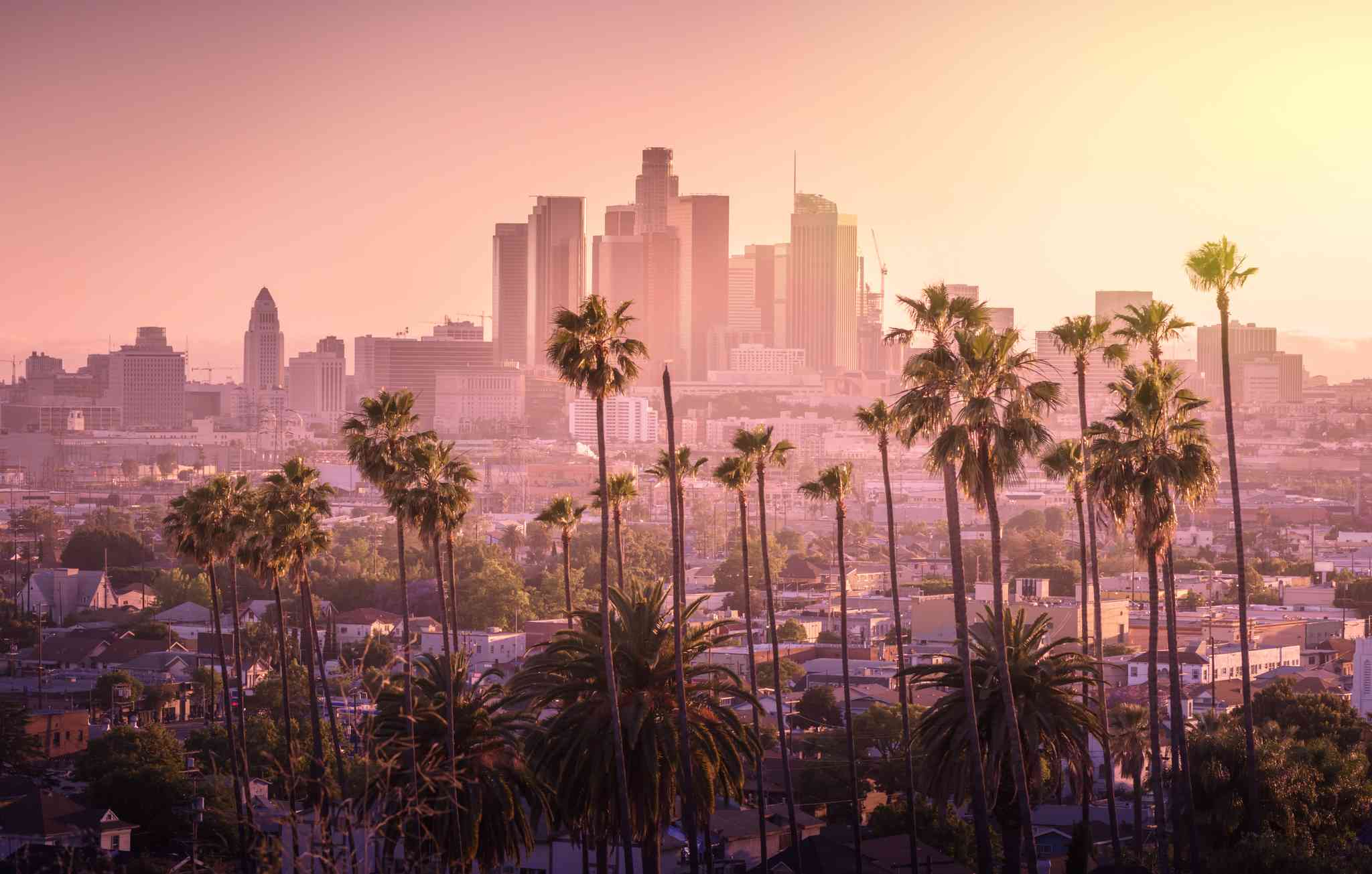 Vacker vy över Santa Barbara - privat dagsutflykt från Los Angeles - foto 7