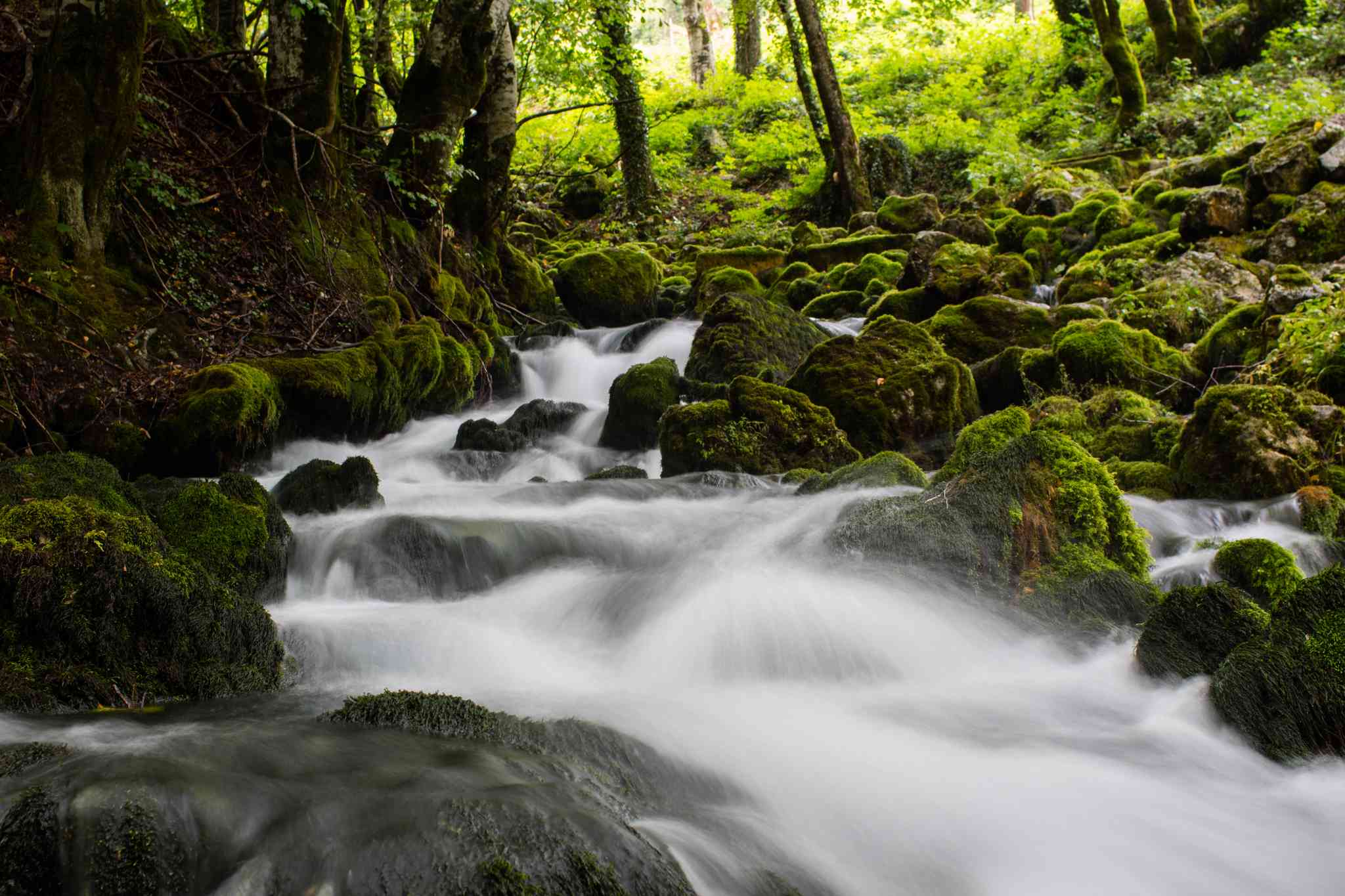 Vacker vy över San Jose - privat dagsutflykt från San Jose - foto 3