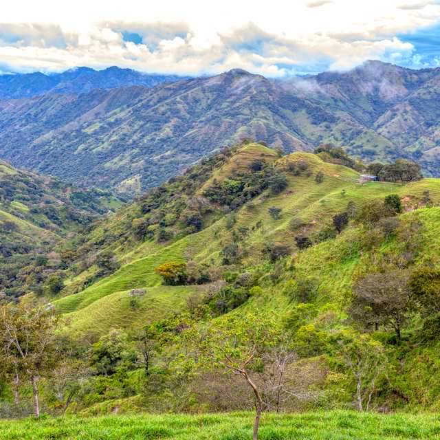 San Jose to Los Quetzales National Park: Private day trip