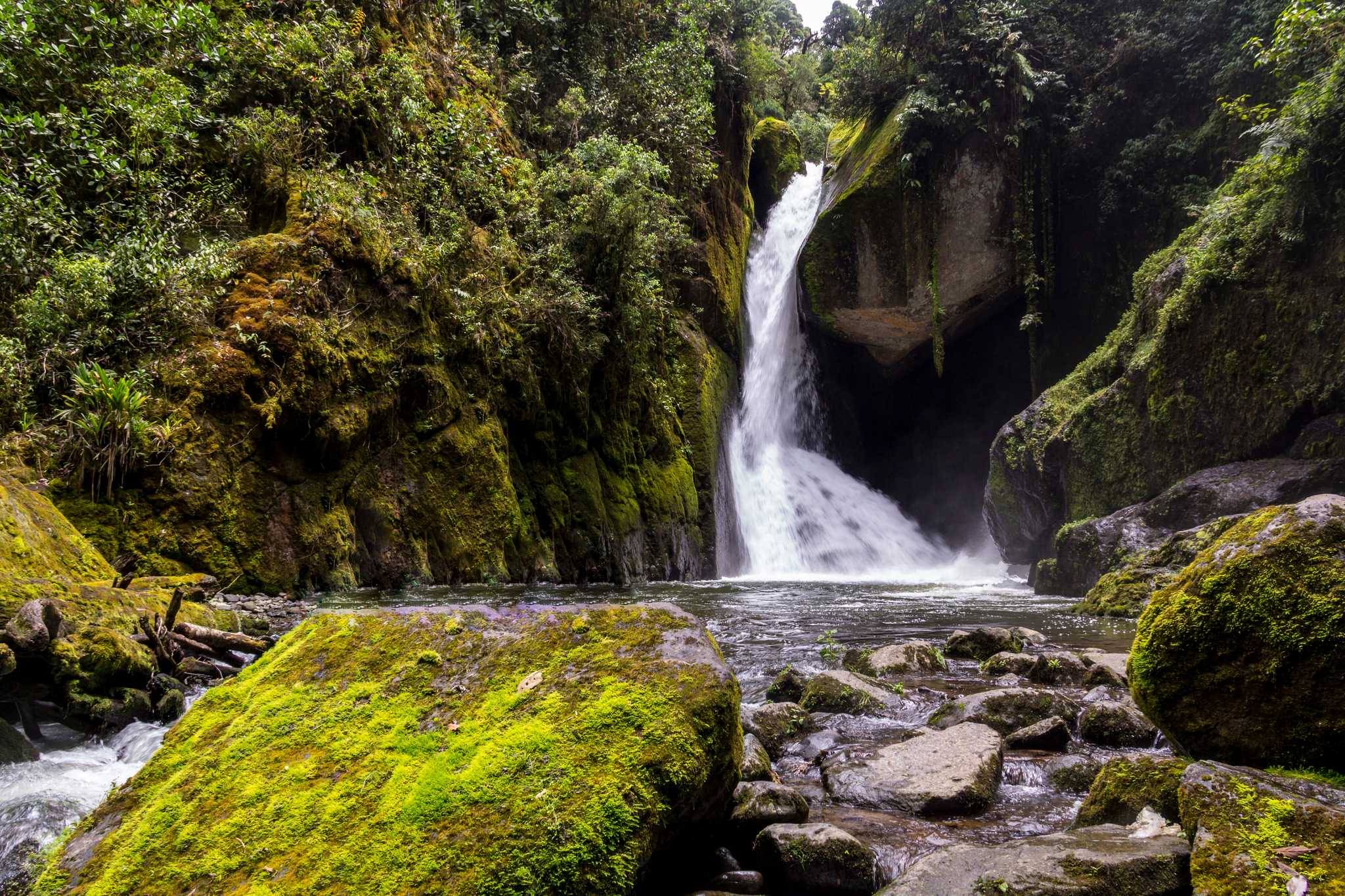 Itinerary stop at Los Quetzales National Park on private day trip from San Jose