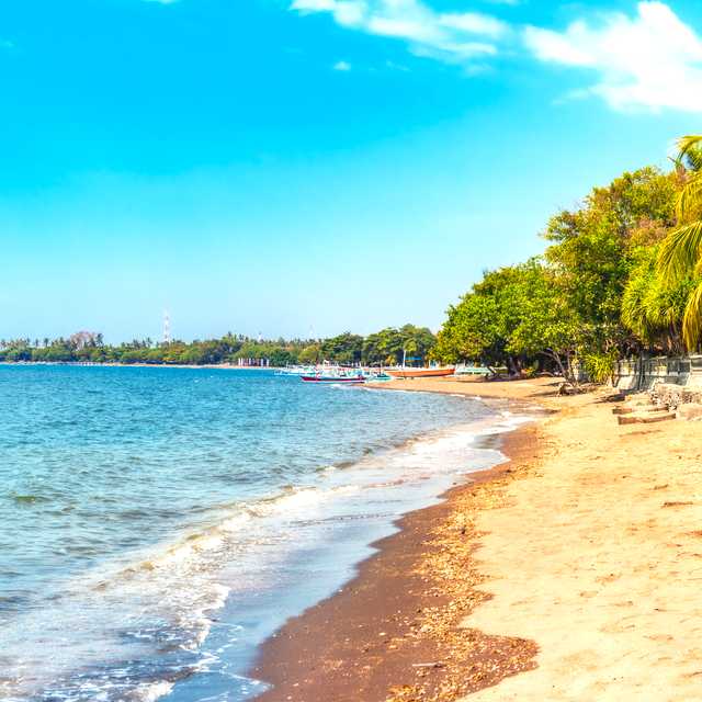 Denpasar to Lovina Beach and Local Waterfalls: Day trip