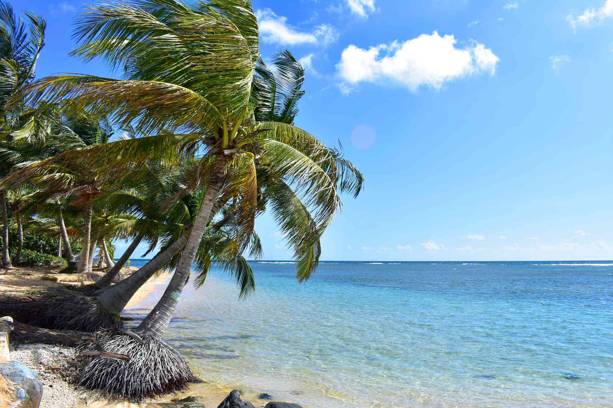 Scenic view of Luquillo - private day trip from San Juan - photo 2