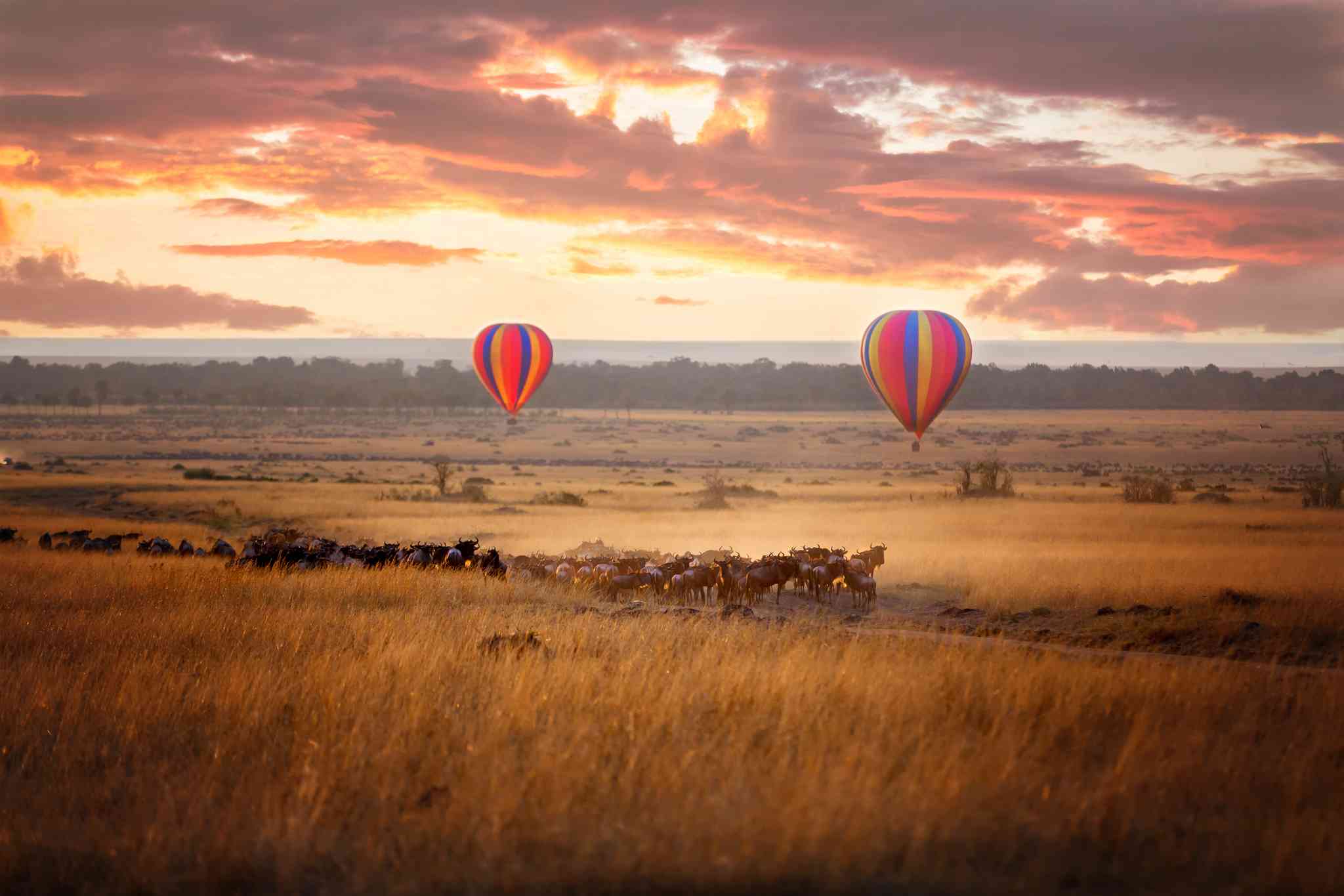 Scenic view of Maasai Mara National Reserve - private day trip from Jinja - photo 2