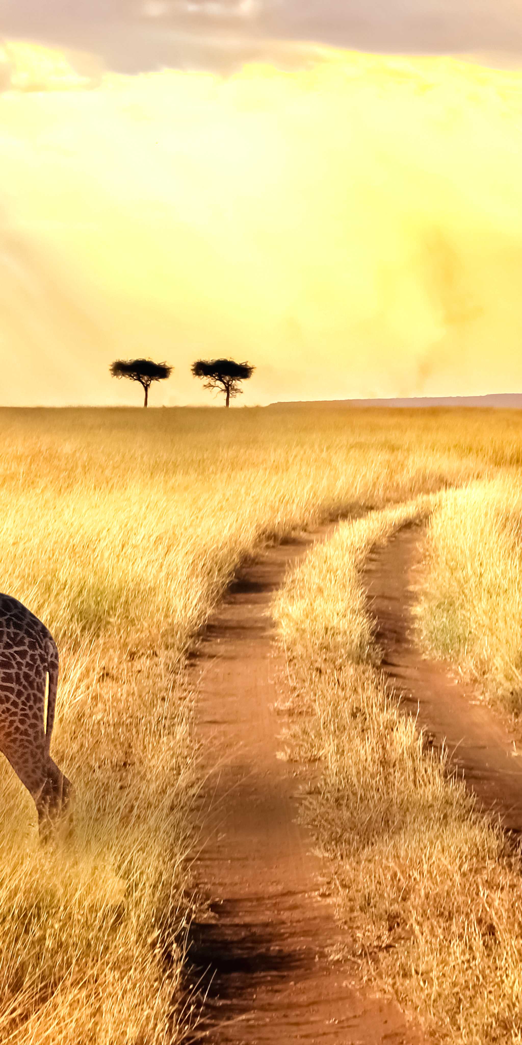 Maasai Mara National Reserve