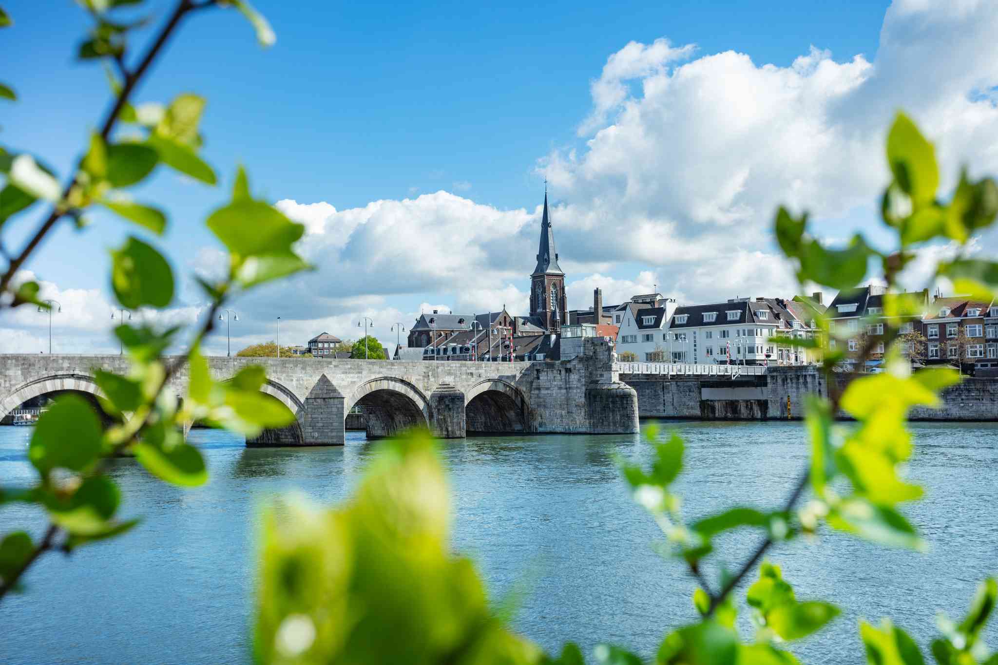 Delft 的风景 - 从 Maastricht 出发的私人 一日游 - 照片 11