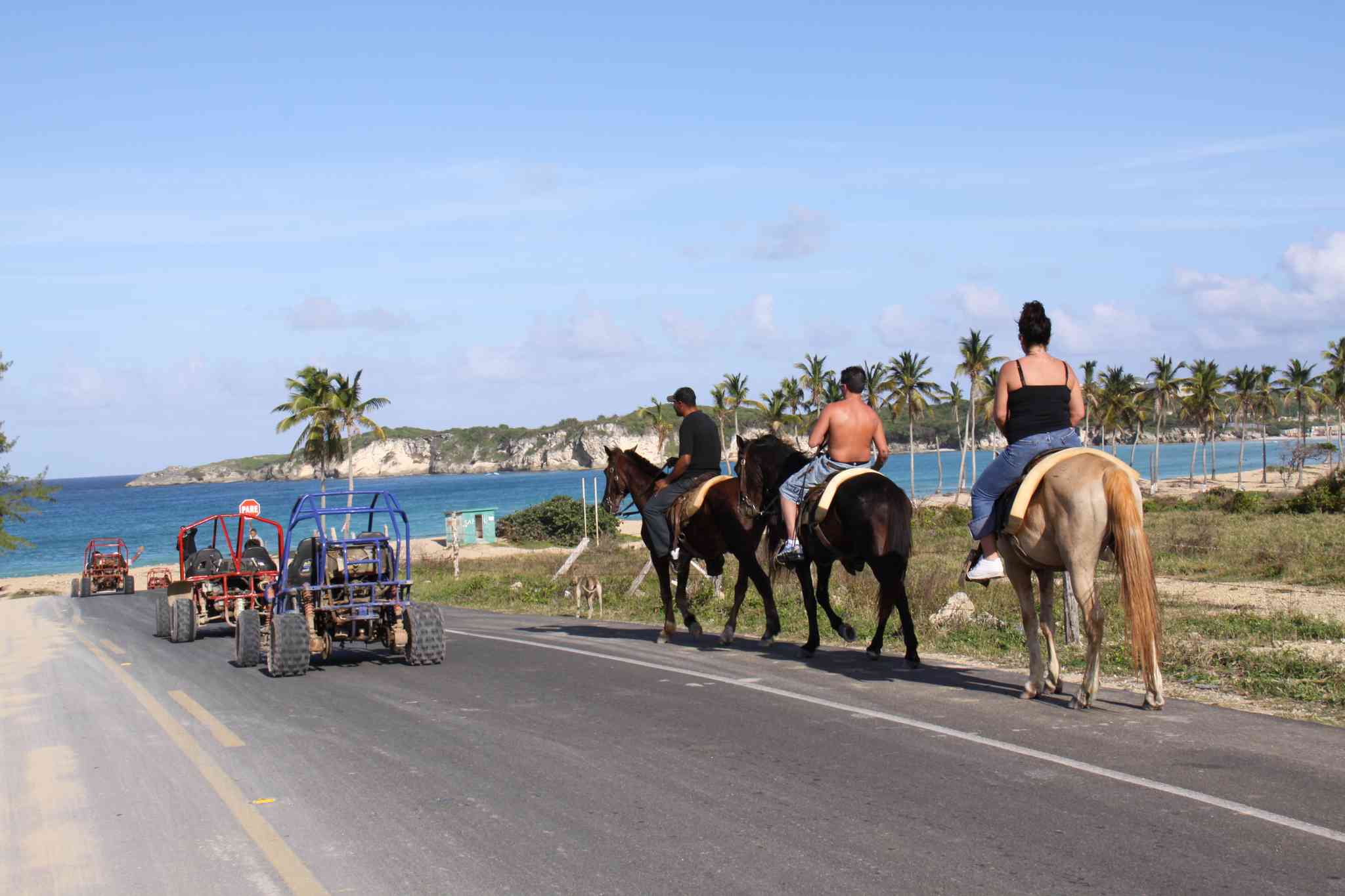 Scenic view of Playa Macao - private day trip from Punta Cana Airport - photo 3