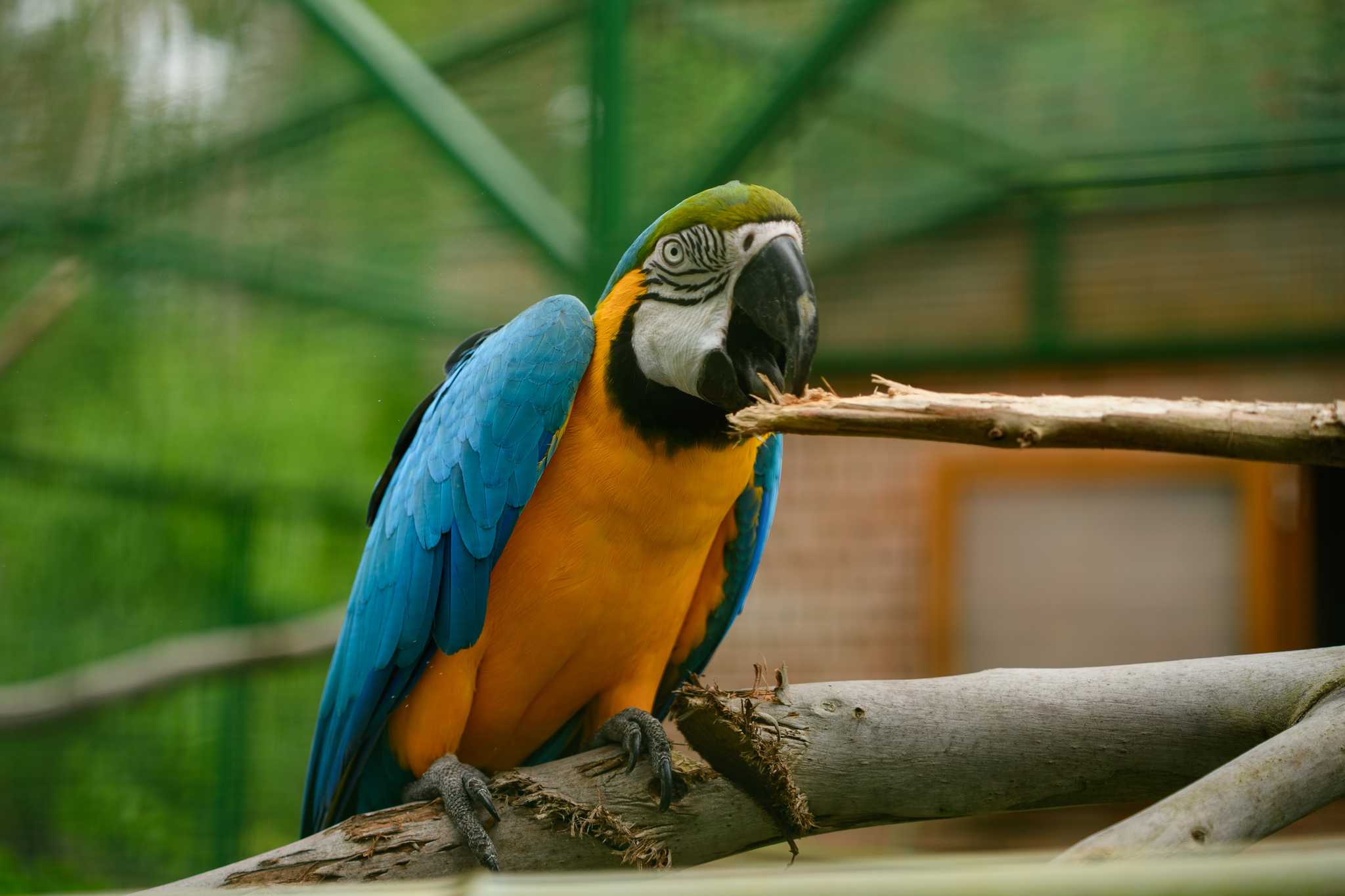 Resplan stopp vid Macaw Sanctuary Natuwa på privat dagsutflykt från Jaco