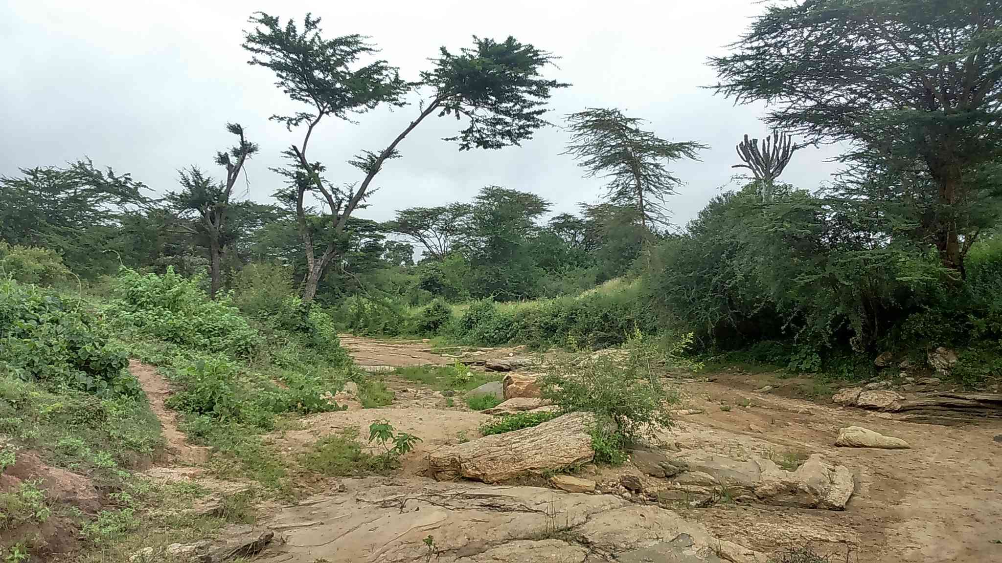 Vista panorámica de Mombasa - excursión privada de un día desde Machakos - foto 4