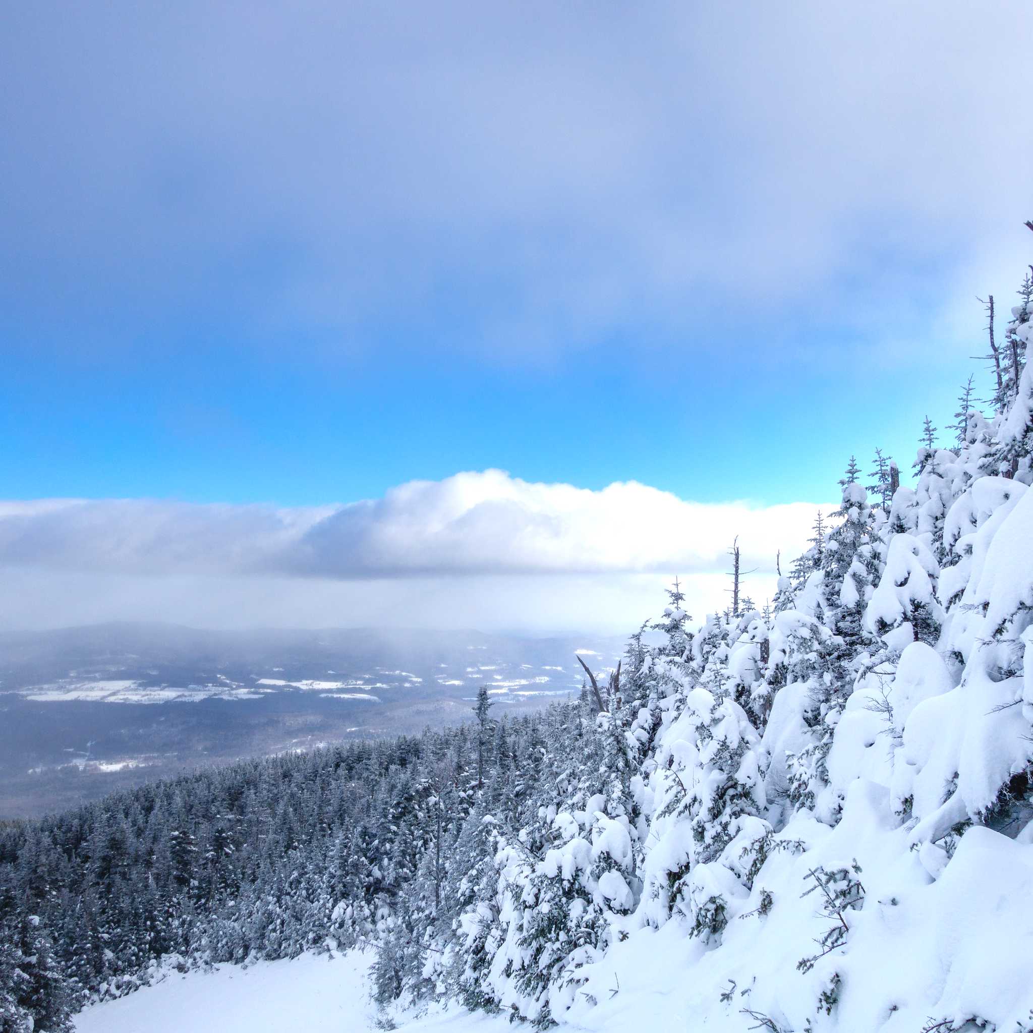 Mad River Glen
