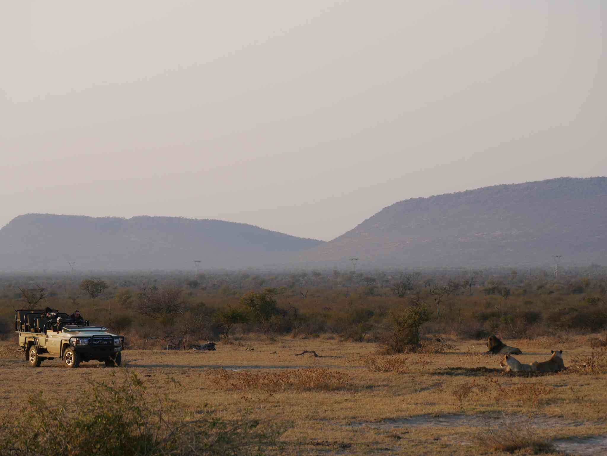 Blick auf die Landschaft von Madikwe - private Tagesreise von Gaborone - Foto 2