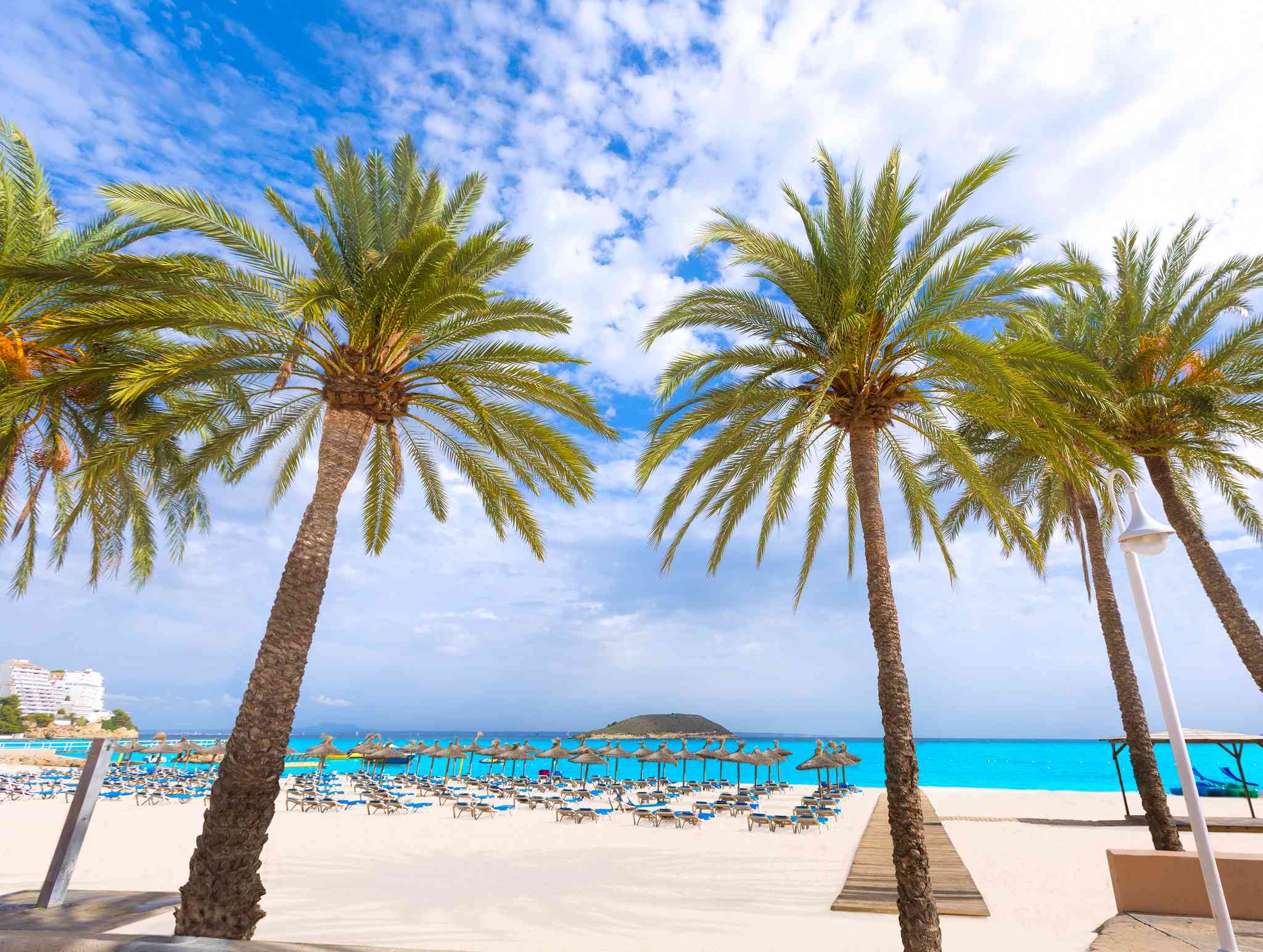 Vue pittoresque de Palma de Mallorca - excursion privée d'une journée depuis Magaluf - photo 7