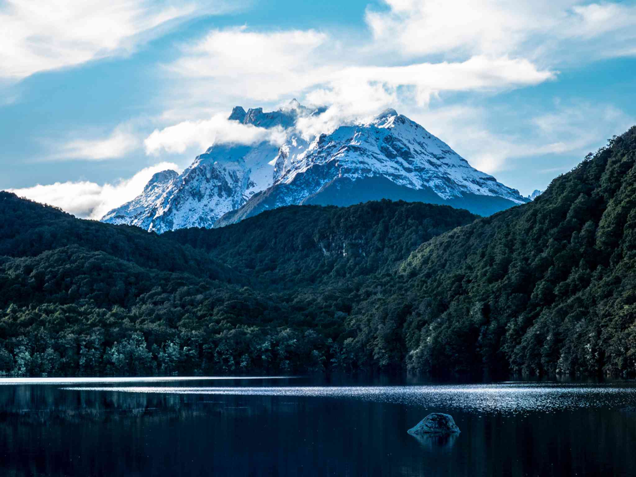 Trilha Natural de Makarora Bush