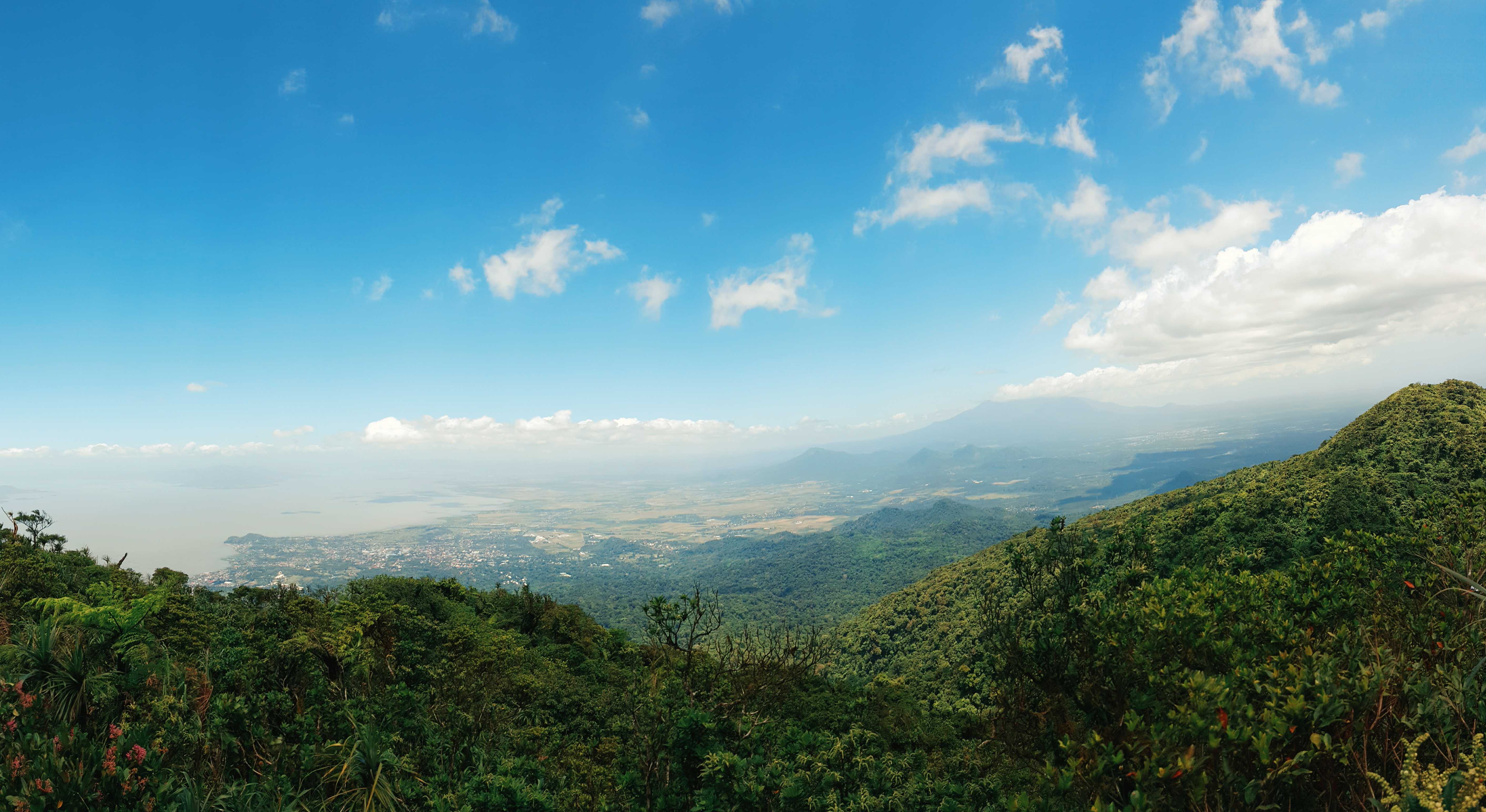 Private Day Trip from Taguig City to Makiling Botanic Gardens and Mount ...