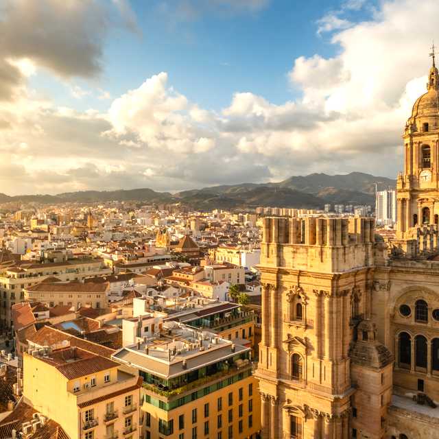 Marbella to Malaga: Private day trip