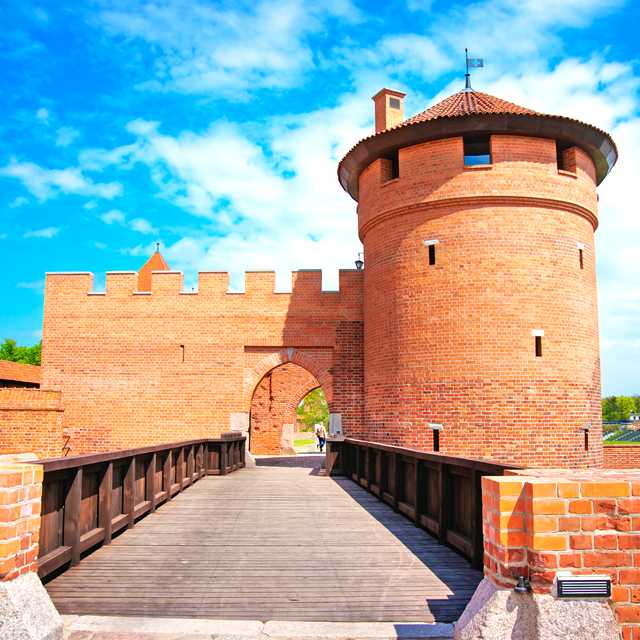 Warsaw to Torun and Malbork: Private day trip