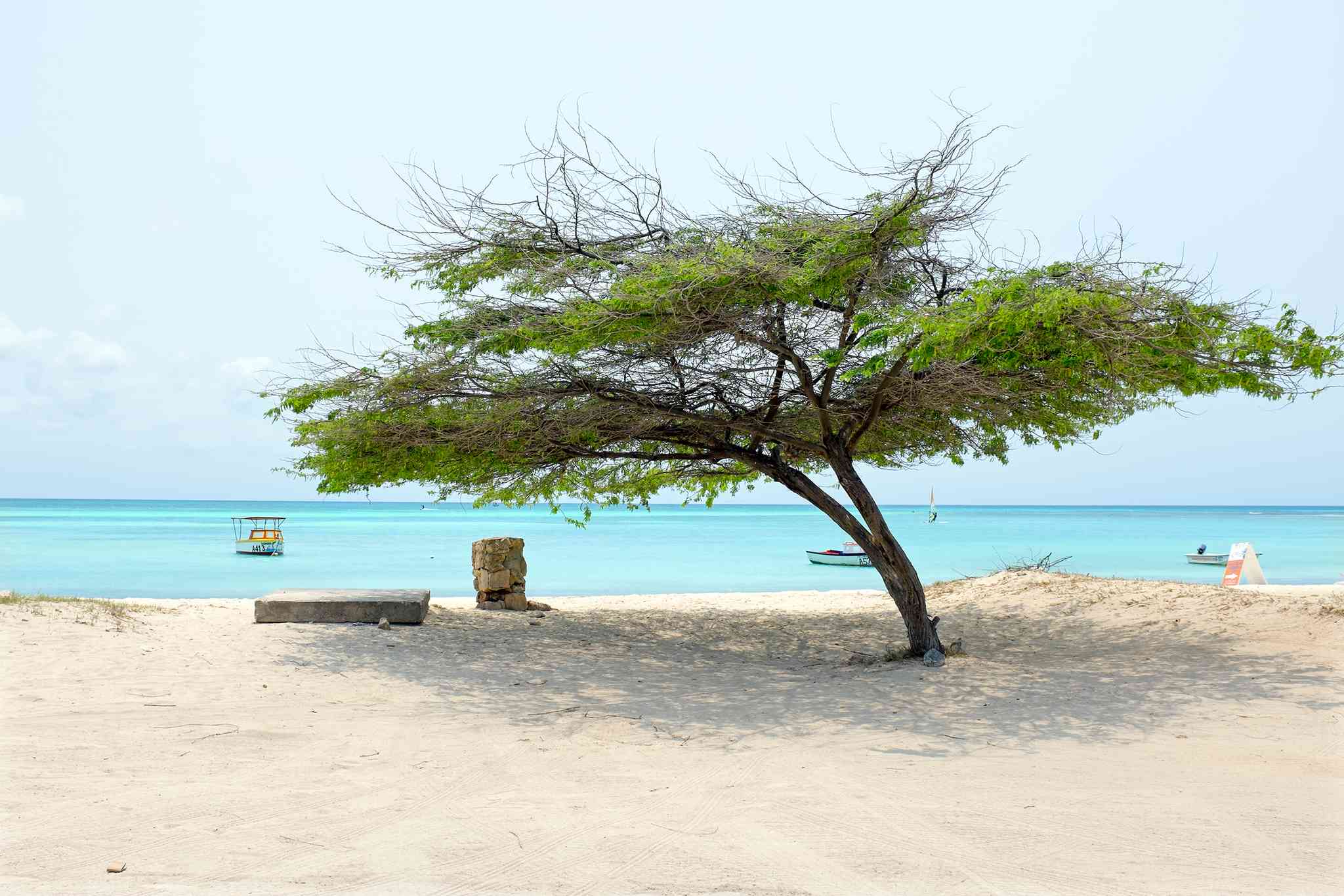 Blick auf die Landschaft von Malmok - private Tagesreise von Oranjestad - Foto 2
