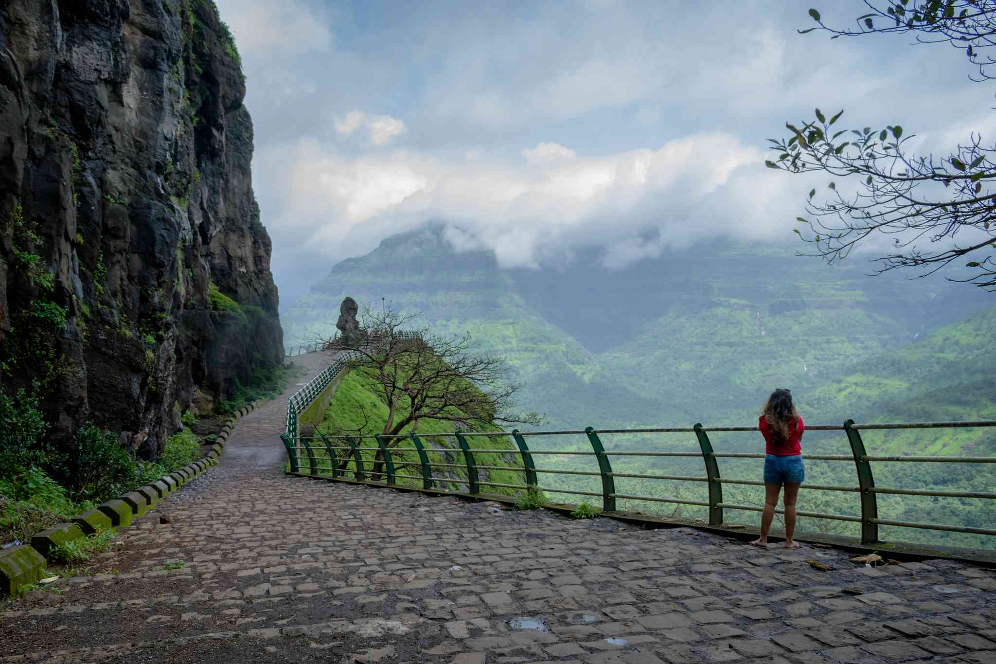 Blick auf die Landschaft von Mumbai - private Tagesreise von Malshej Ghat - Foto 6