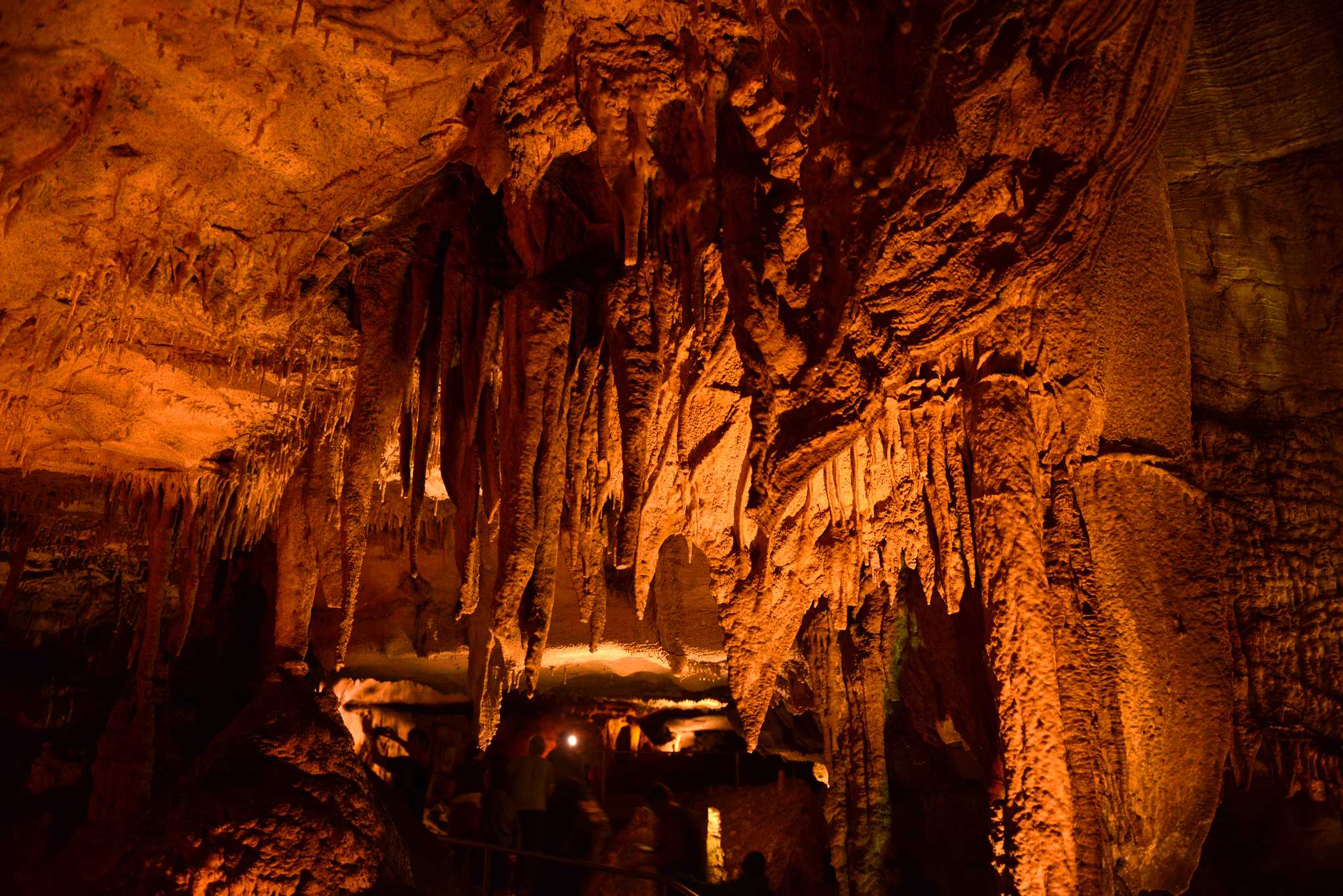 Visit Mammoth Cave National Park on the way from memphis-tn-us to pittsburgh-pa-us with Daytrip