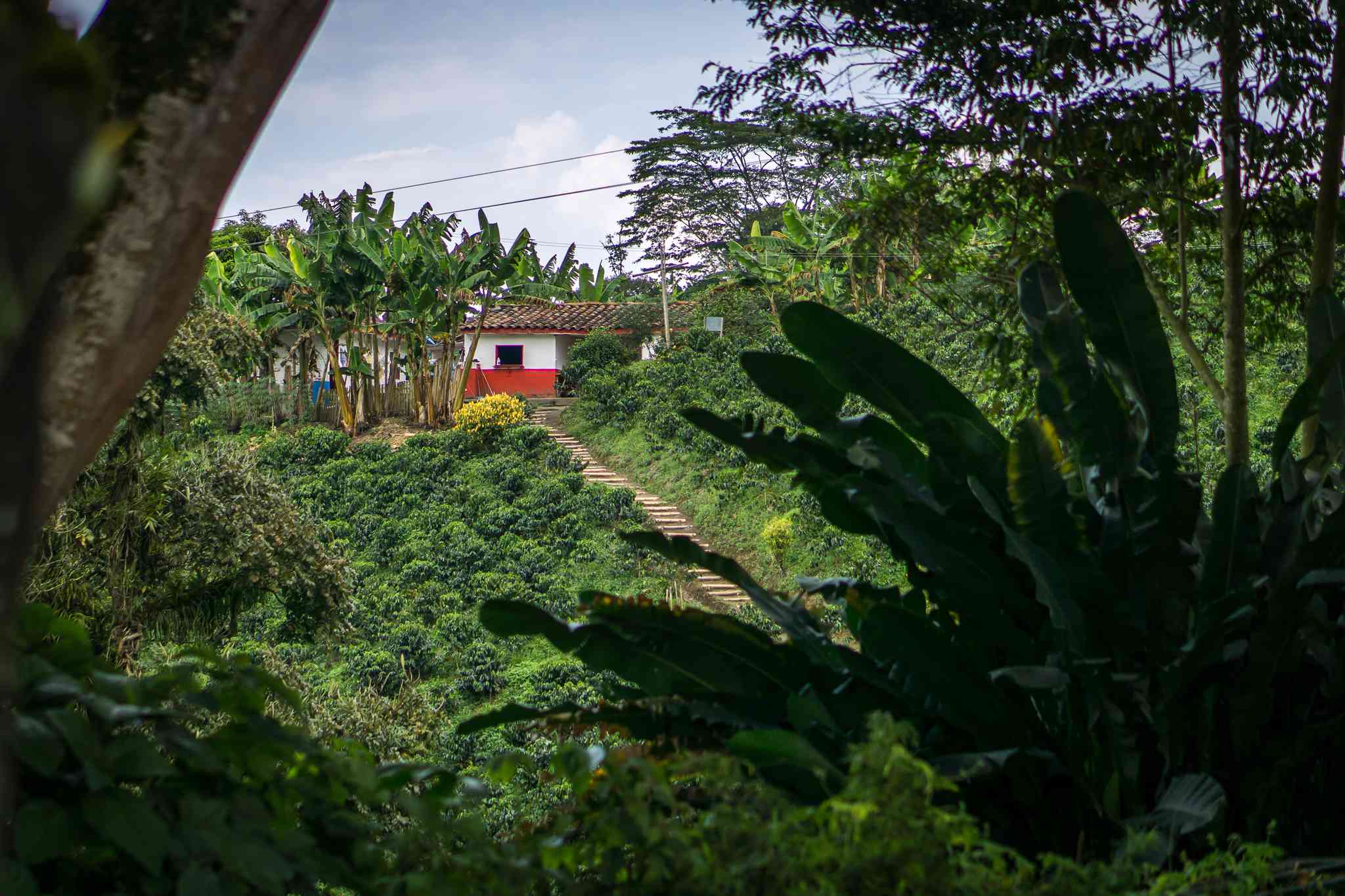 Vista cênica de Bogota - excursão particular de um dia de Manizales - foto 4
