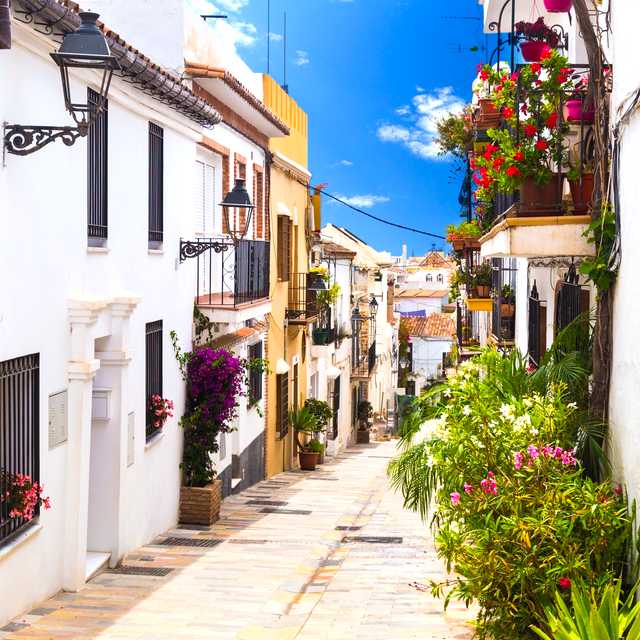 Malaga to Estepona and Marbella: Private day trip