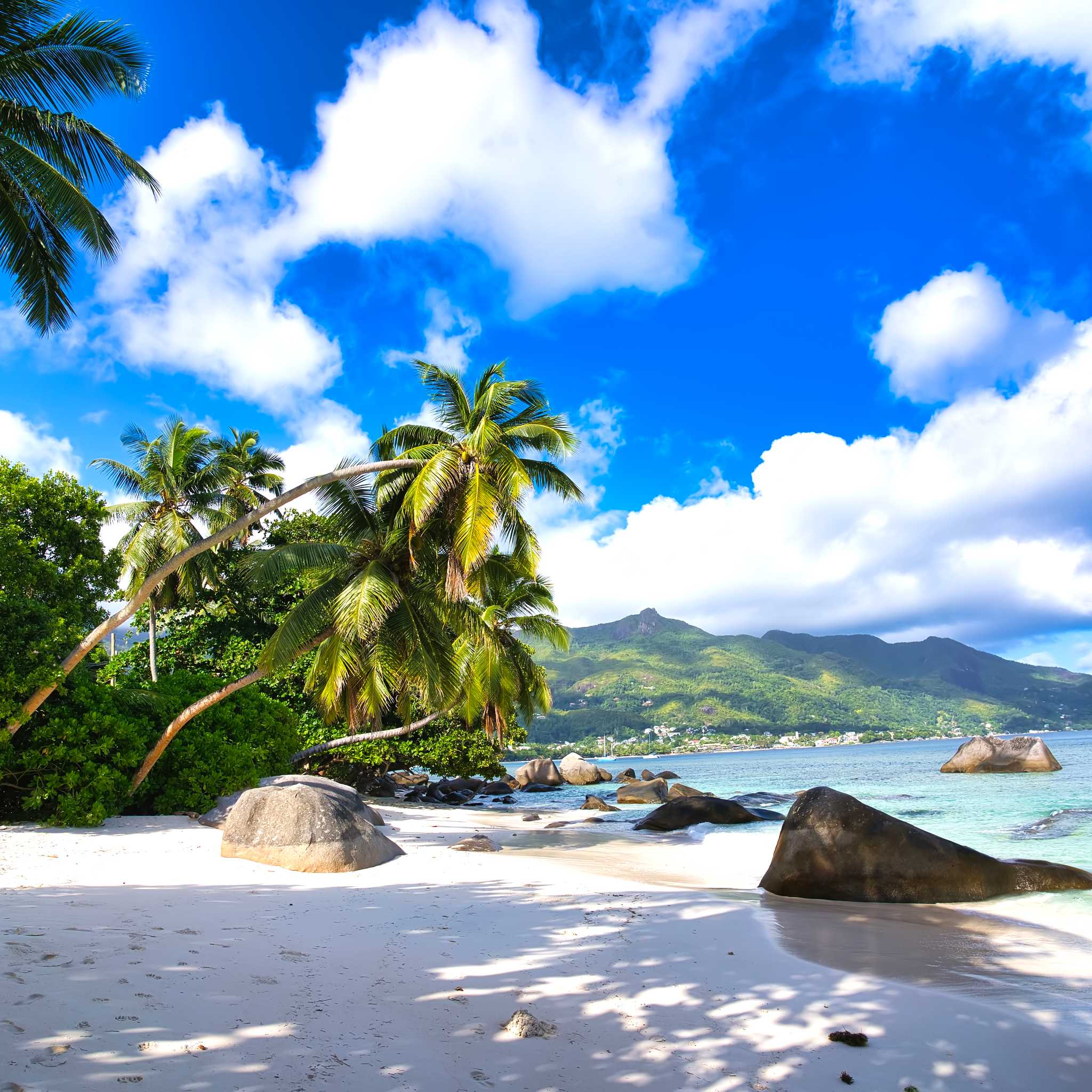 Private car transfers in Seychelles from Mare Anglaise