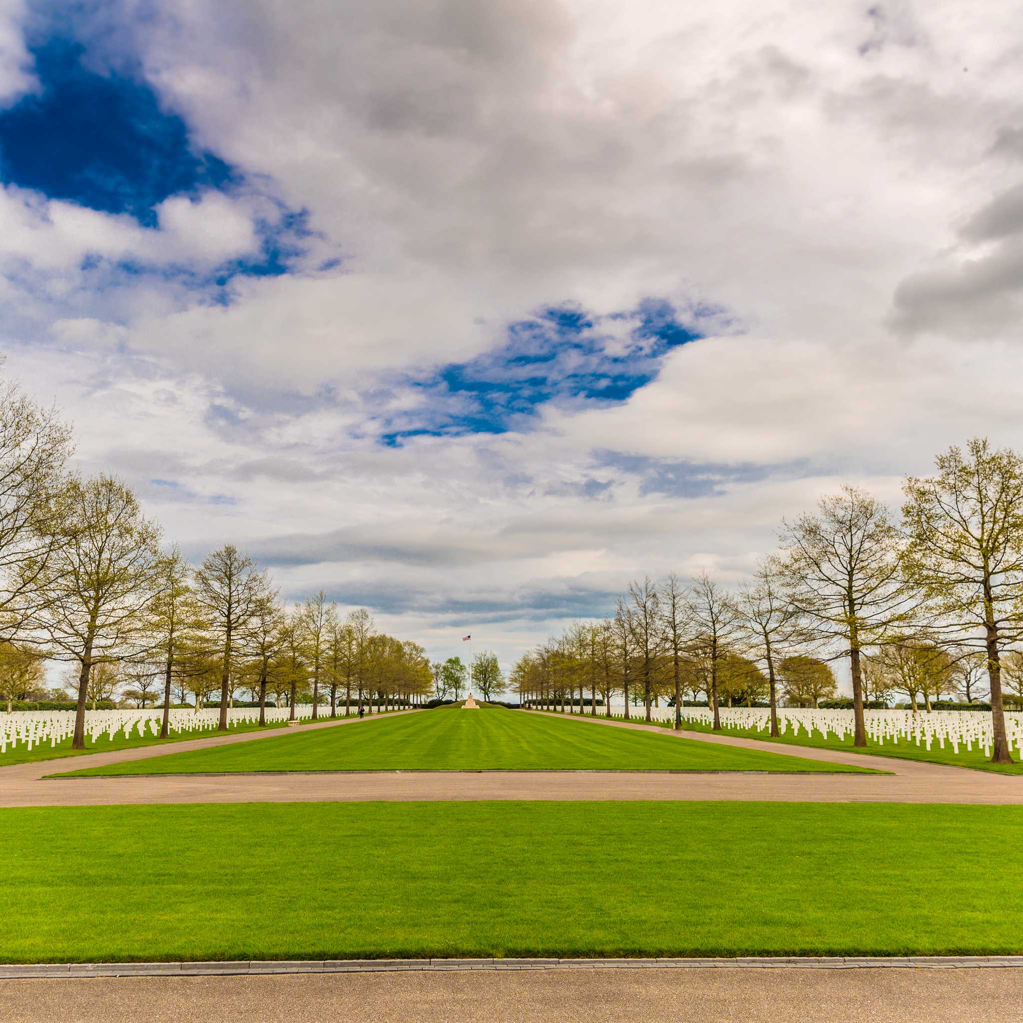 Private car transfers in Netherlands from Margraten