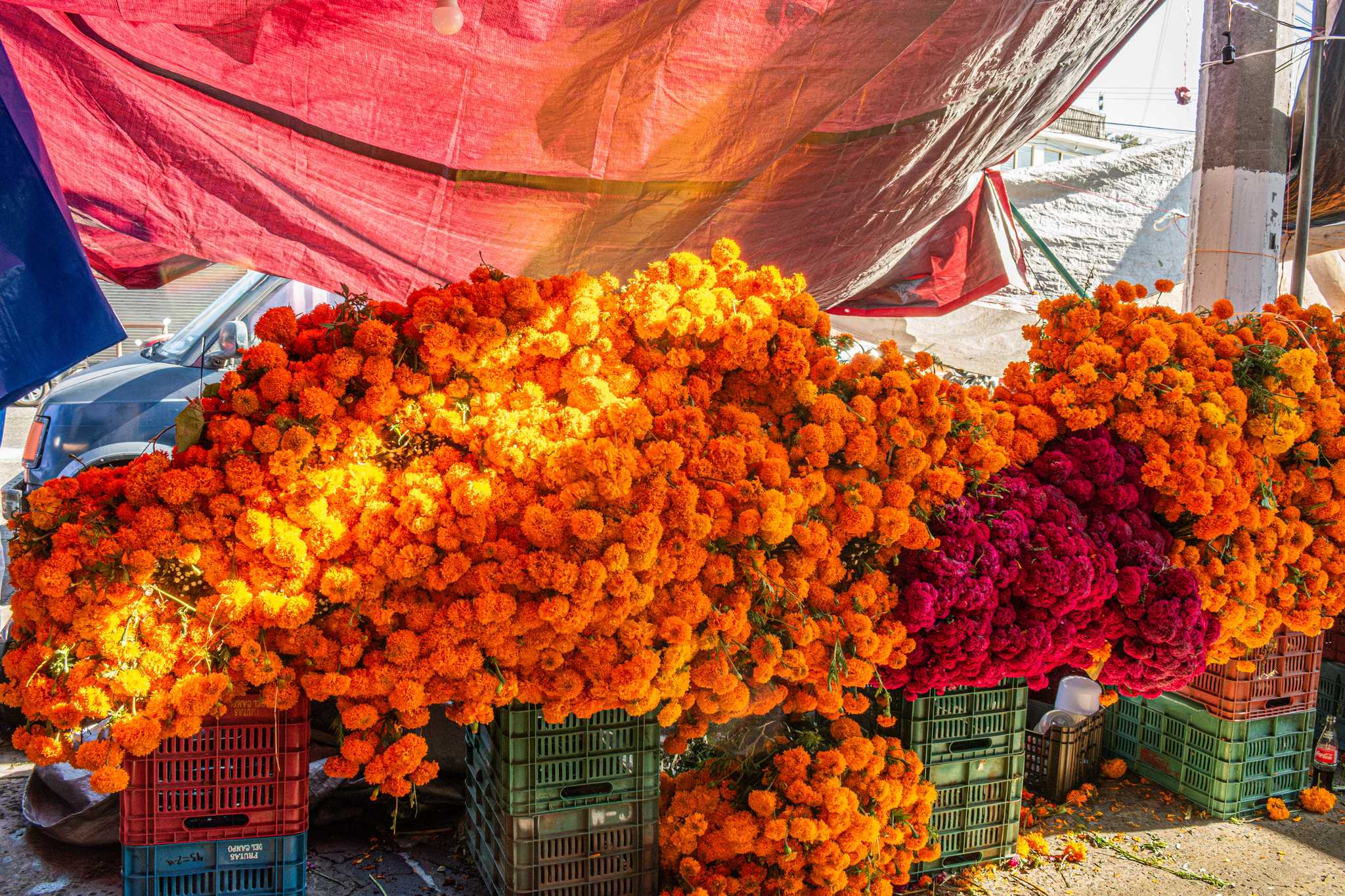 Bundles of cempasúchil marigolds and red cockscomb piled on crates at a Mexican market.