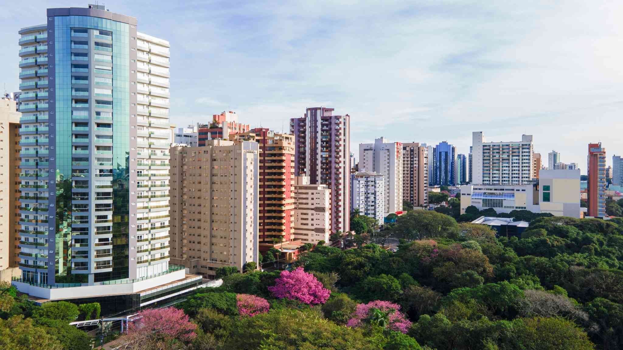 Scenic view of Curitiba - private day trip from Maringá - photo 5