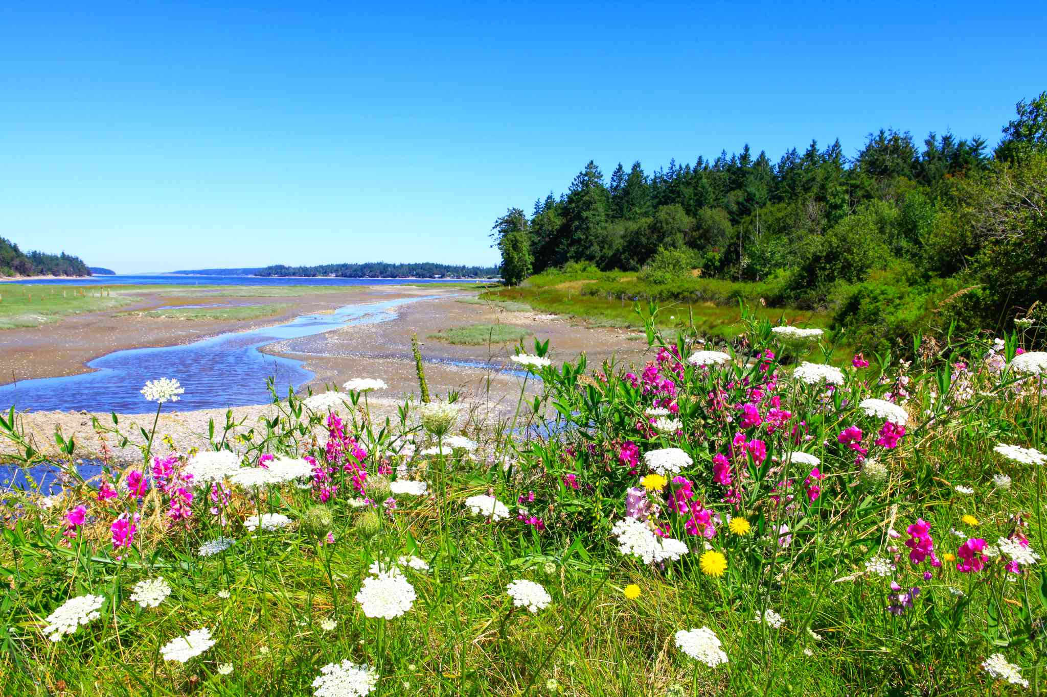 Scenic view of Marrowstone, WA - private day trip from Seattle - photo 3