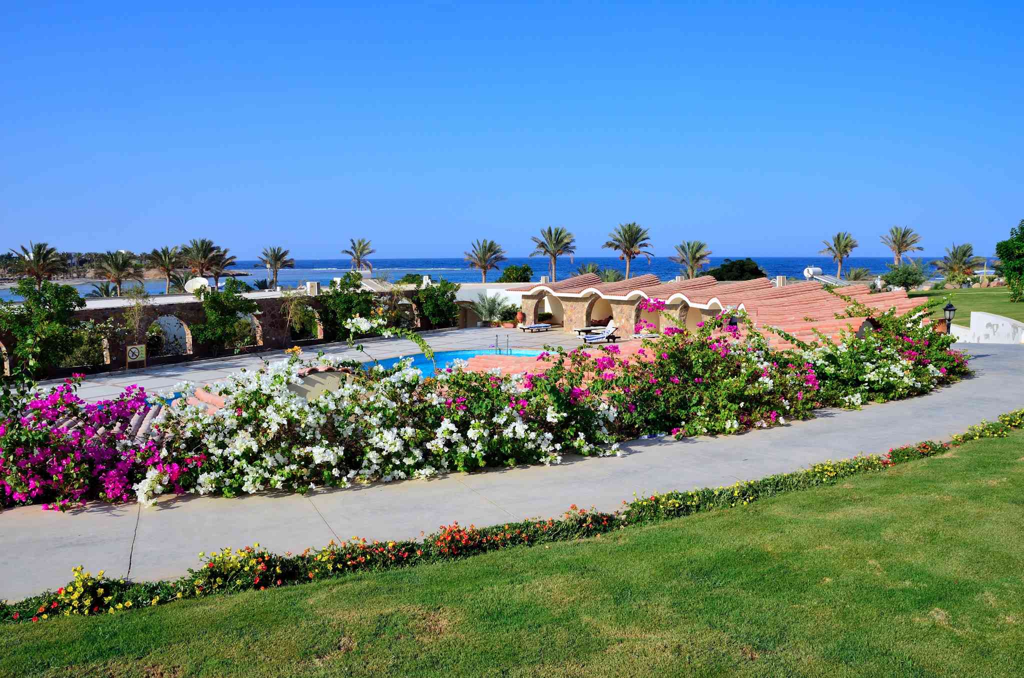 Vista panorámica de Luxor - excursión privada de un día desde Marsa Alam - foto 7