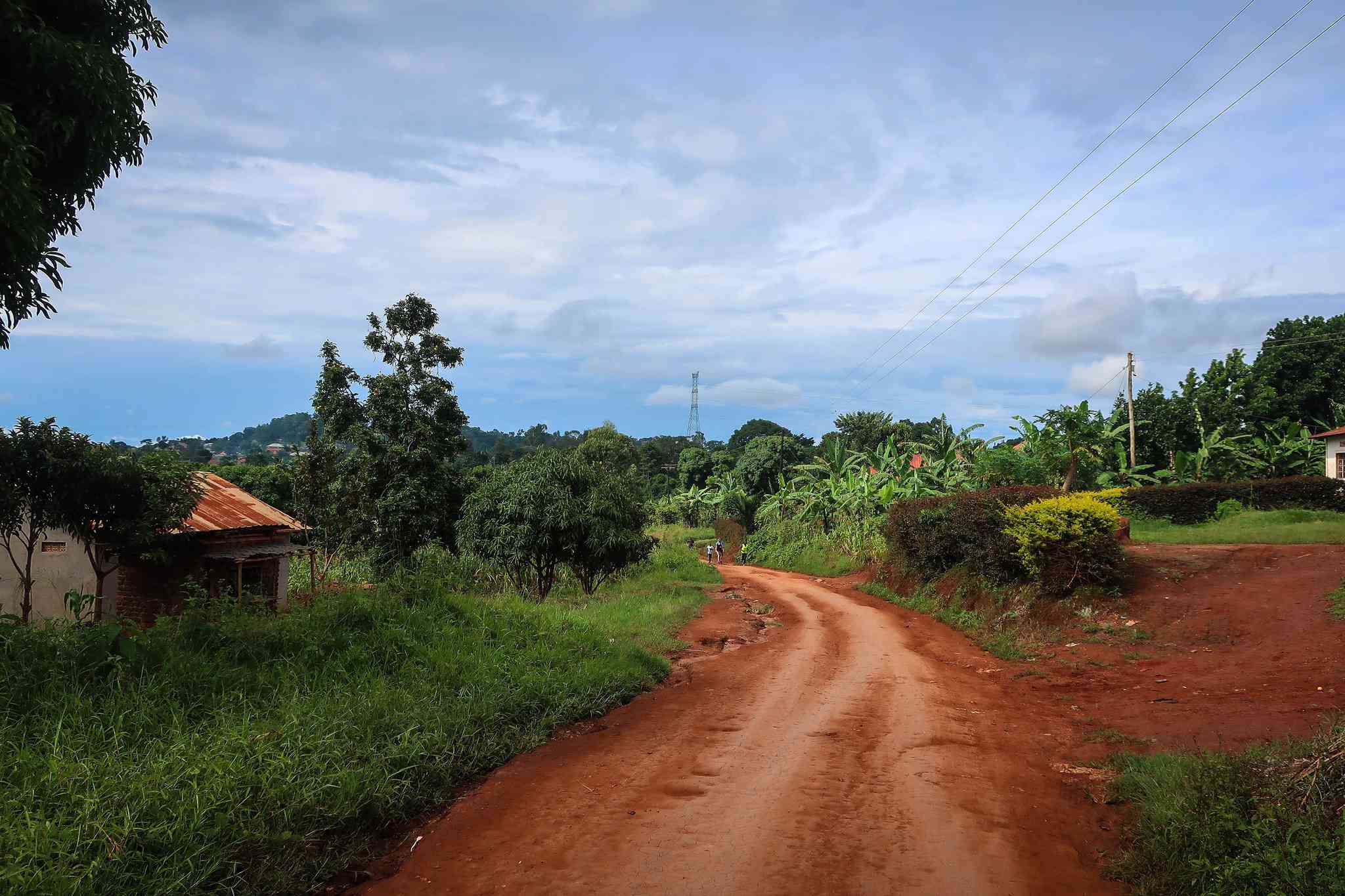 Blick auf die Landschaft von Masaka - private Tagesreise von Entebbe - Foto 2