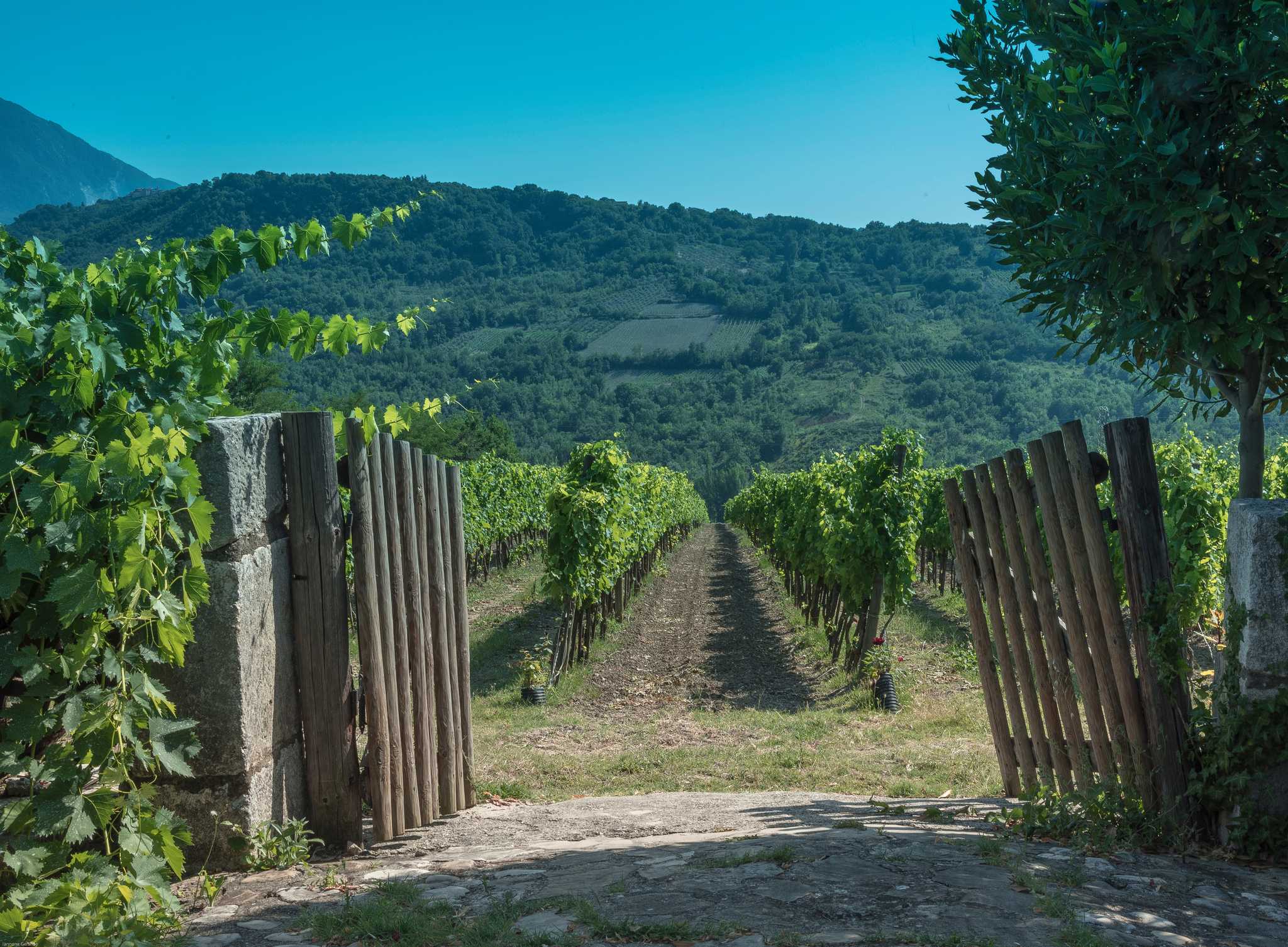 Itinerary stop at Mastroberardino winery on private day trip from Naples