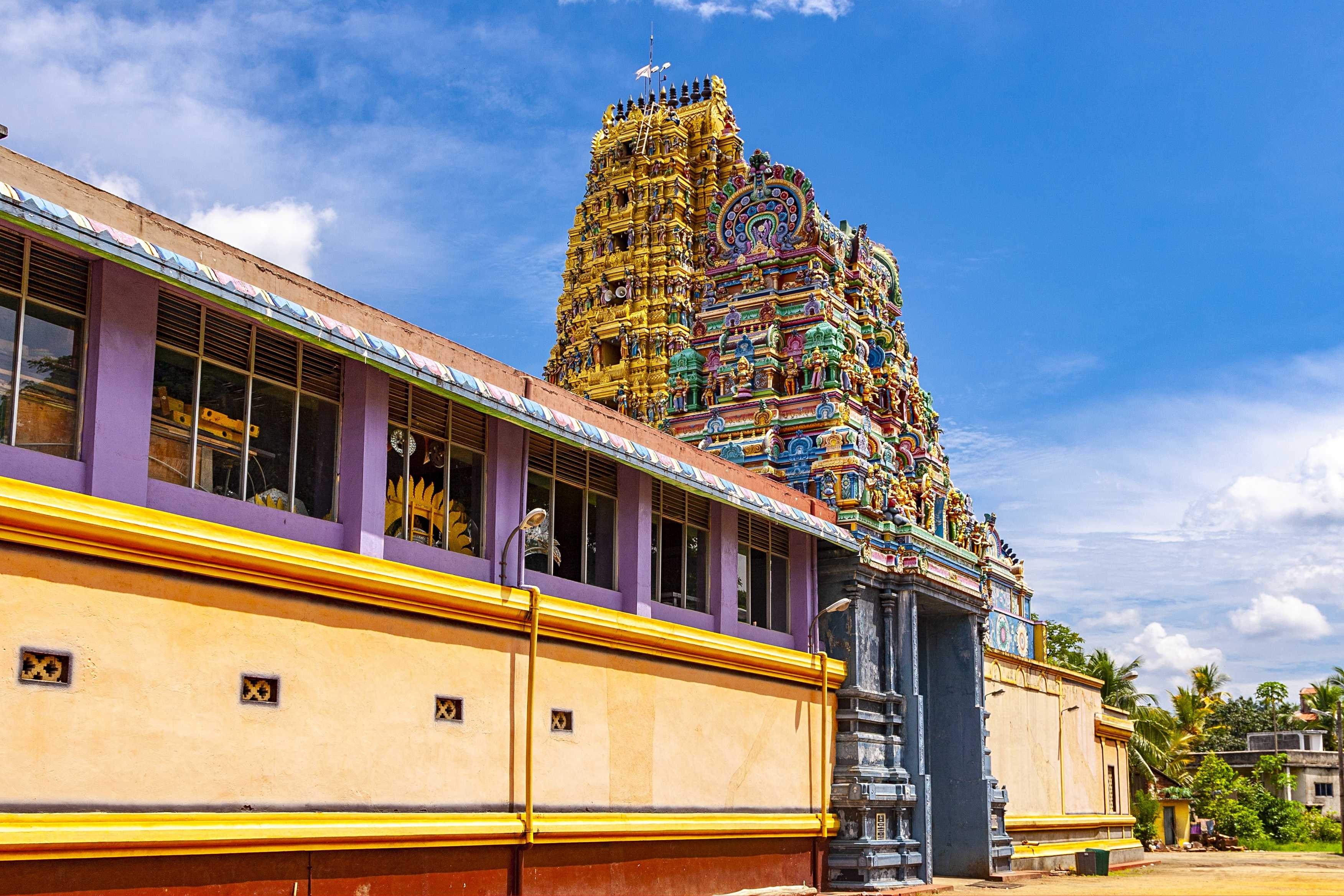 Negombo to Matale Private Transfer | Daytrip