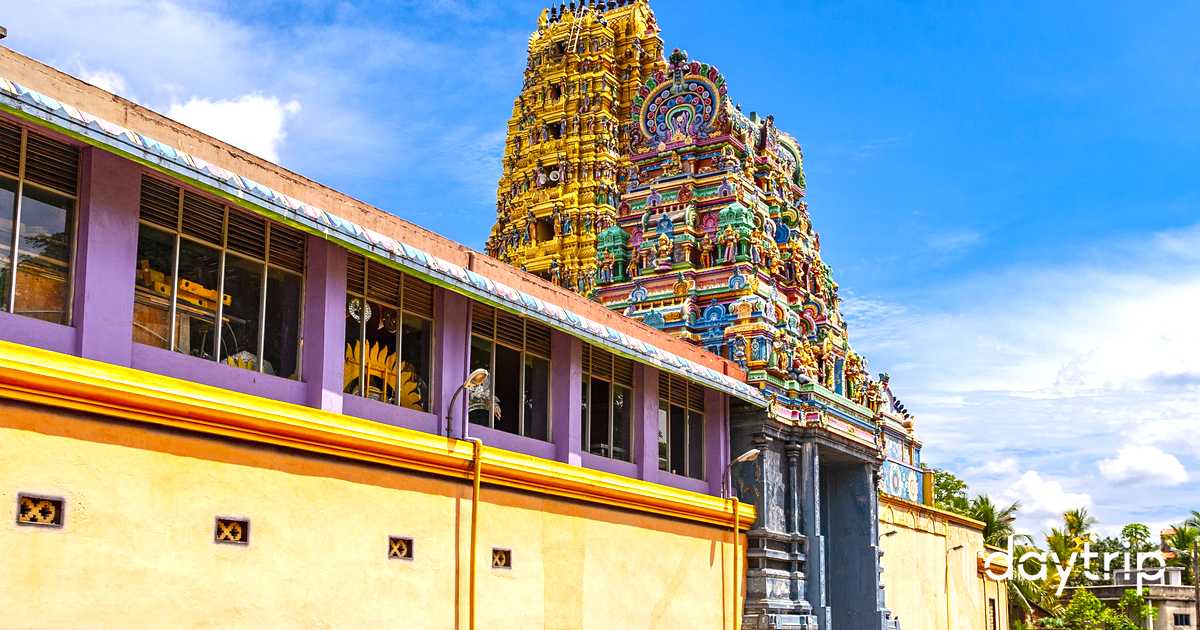 Matale Address Negombo to Matale Private Transfer | Daytrip
