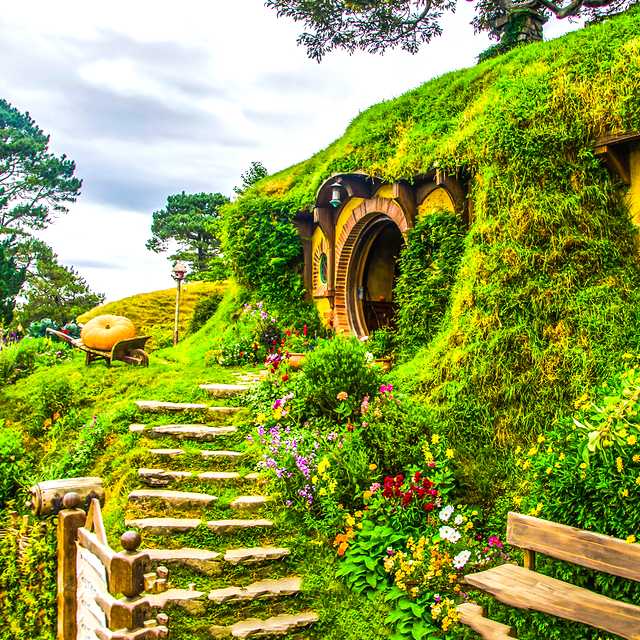 Auckland to Hobbiton Matamata: Private day trip