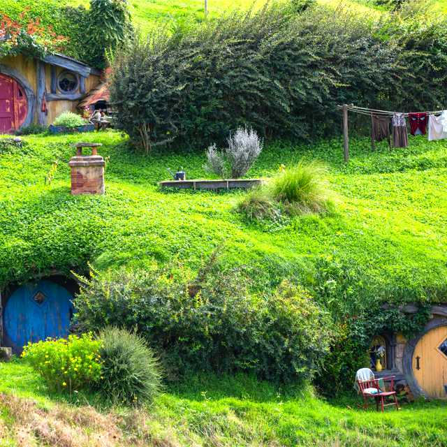 Auckland to Matamata and Volcanic Hills: Private day trip