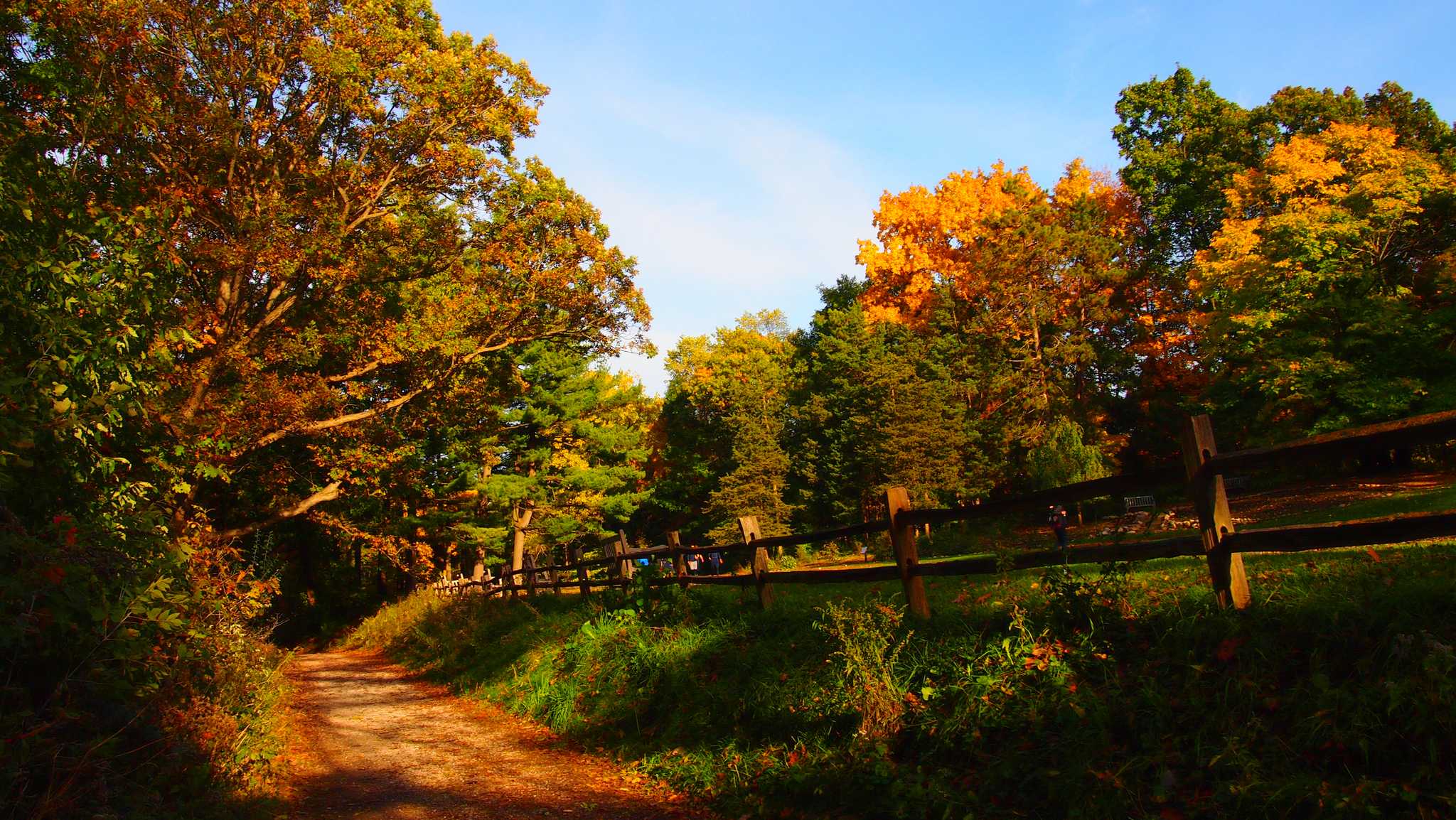 在 从 grand-rapids-mi-us 到 new-york-city-ny-us 的途中，参观 Matthaei Botanical Gardens & Nichols Arboretum ，通过 Daytrip