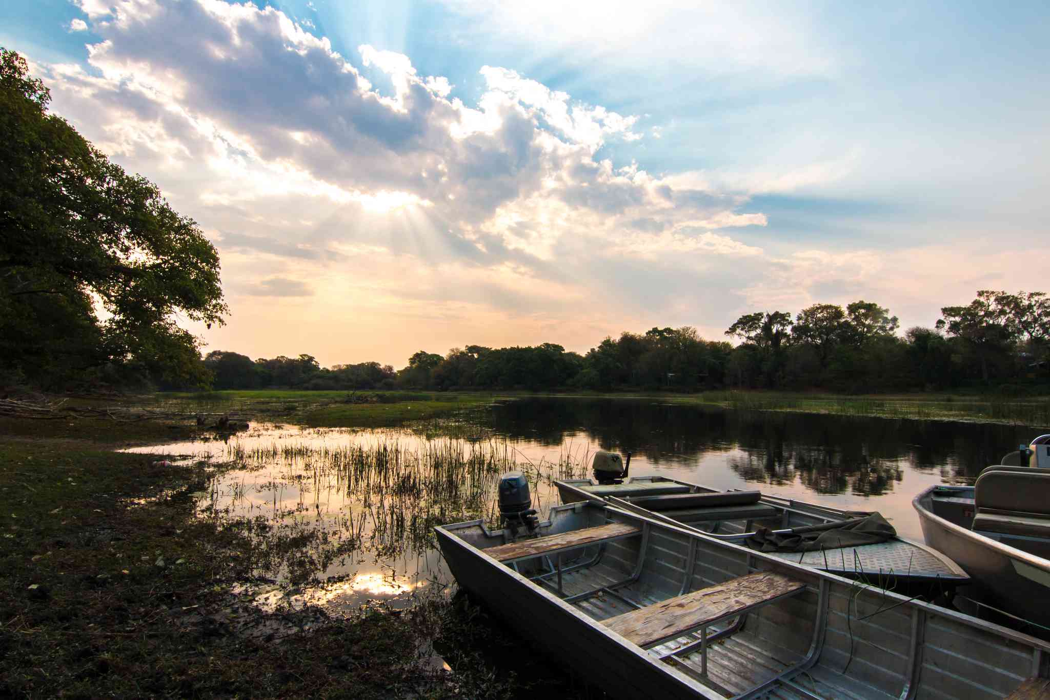 Scenic view of Maun - private day trip from Gaborone - photo 3