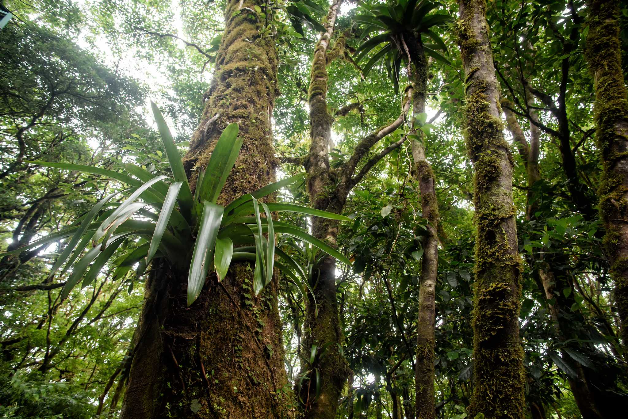 Parada no itinerário em Mayflower Bocawina National Park em viagem particular de um dia a partir de Belize City