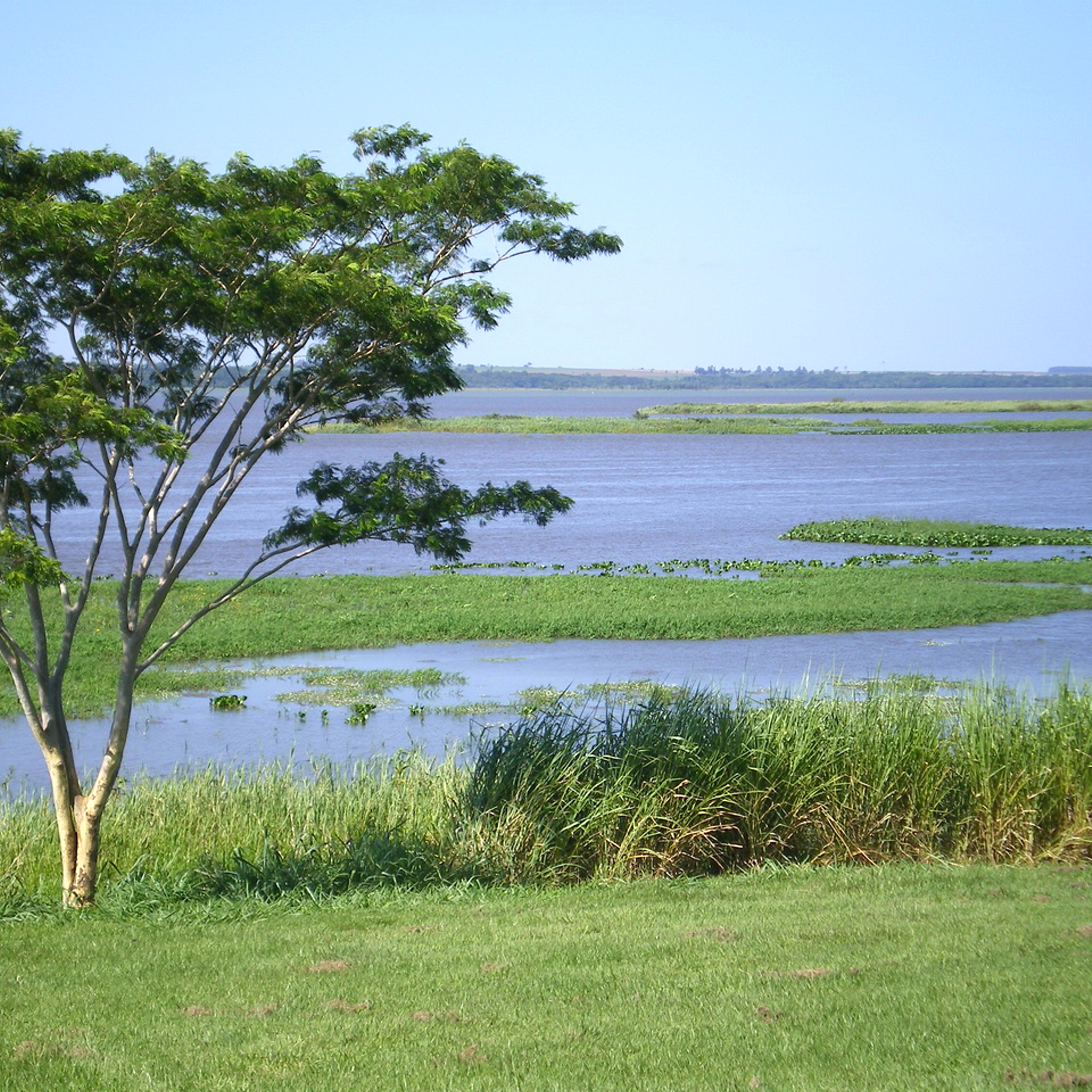 Mbaracayu Forest Nature Reserve