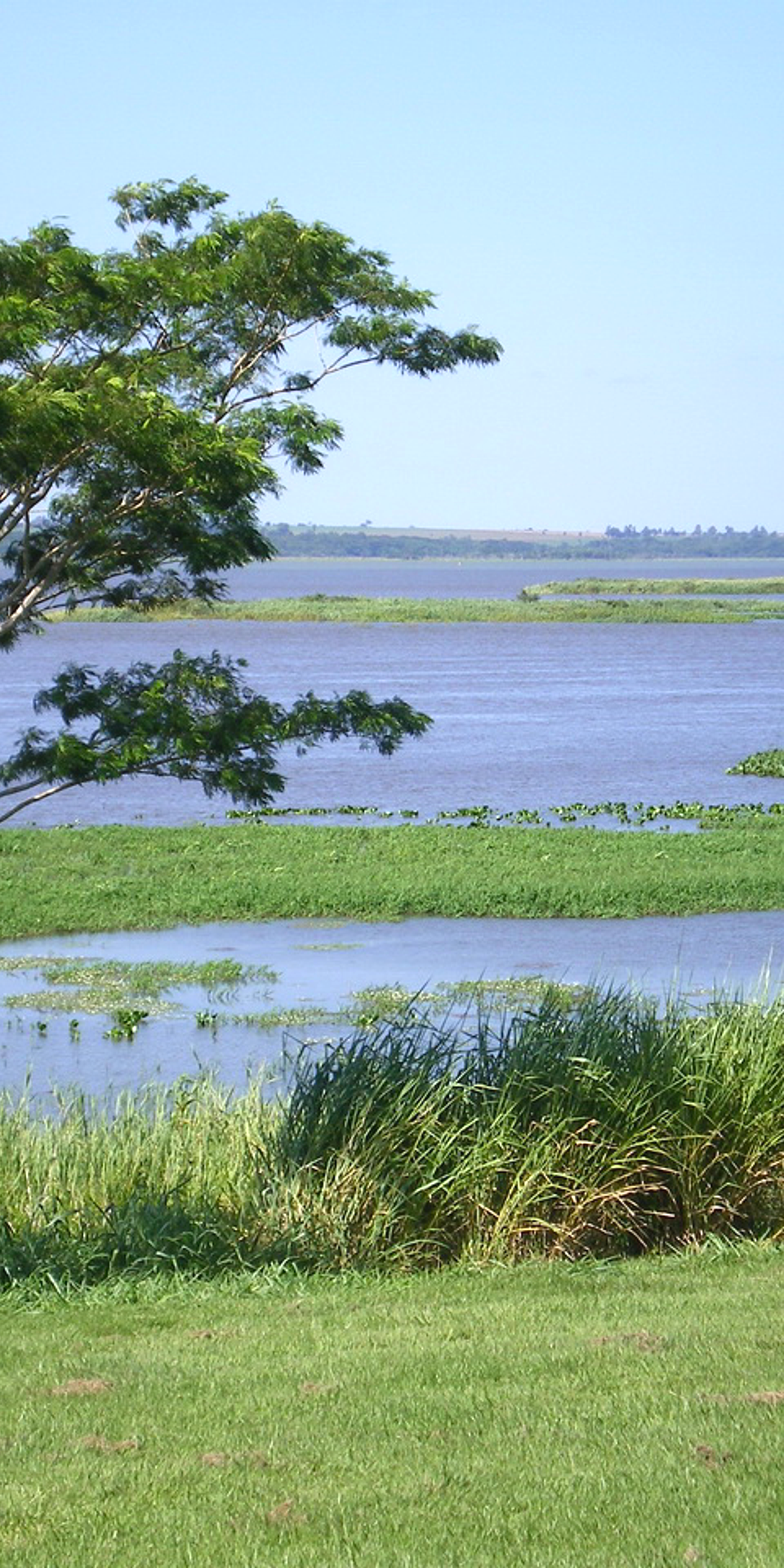 Mbaracayu Forest Nature Reserve