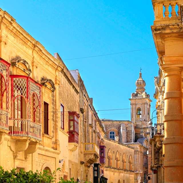 Valletta to Mdina and Dingli: Private day trip
