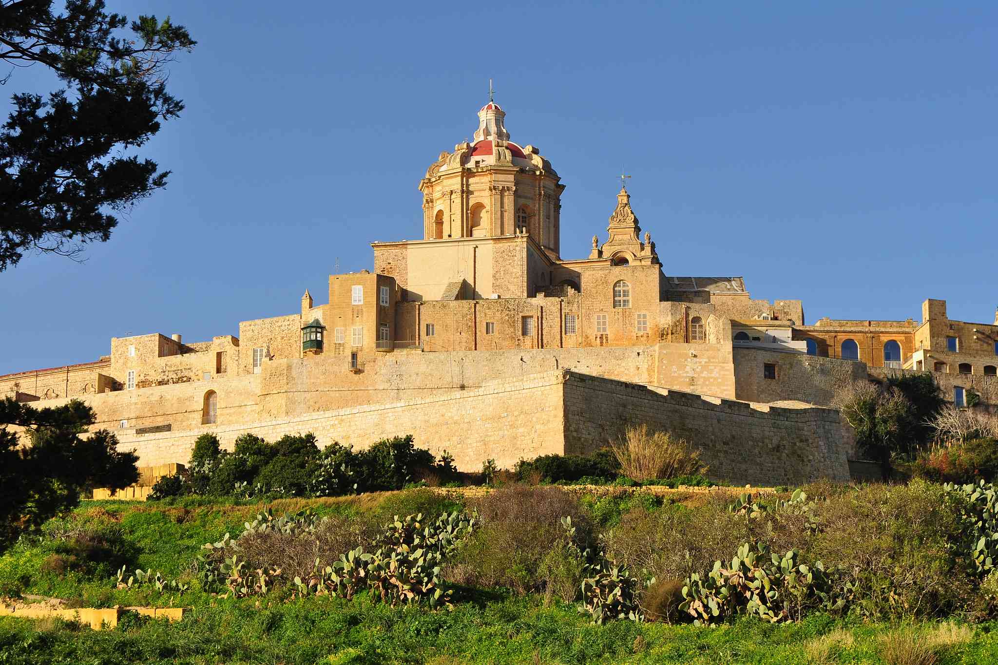 Blick auf die Landschaft von Mdina - private Tagesreise von Valletta - Foto 2