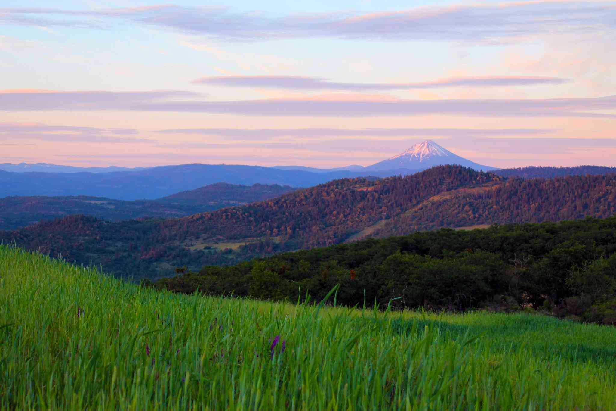 Vue pittoresque de Menlo Park, CA - excursion privée d'une journée depuis Medford - photo 4