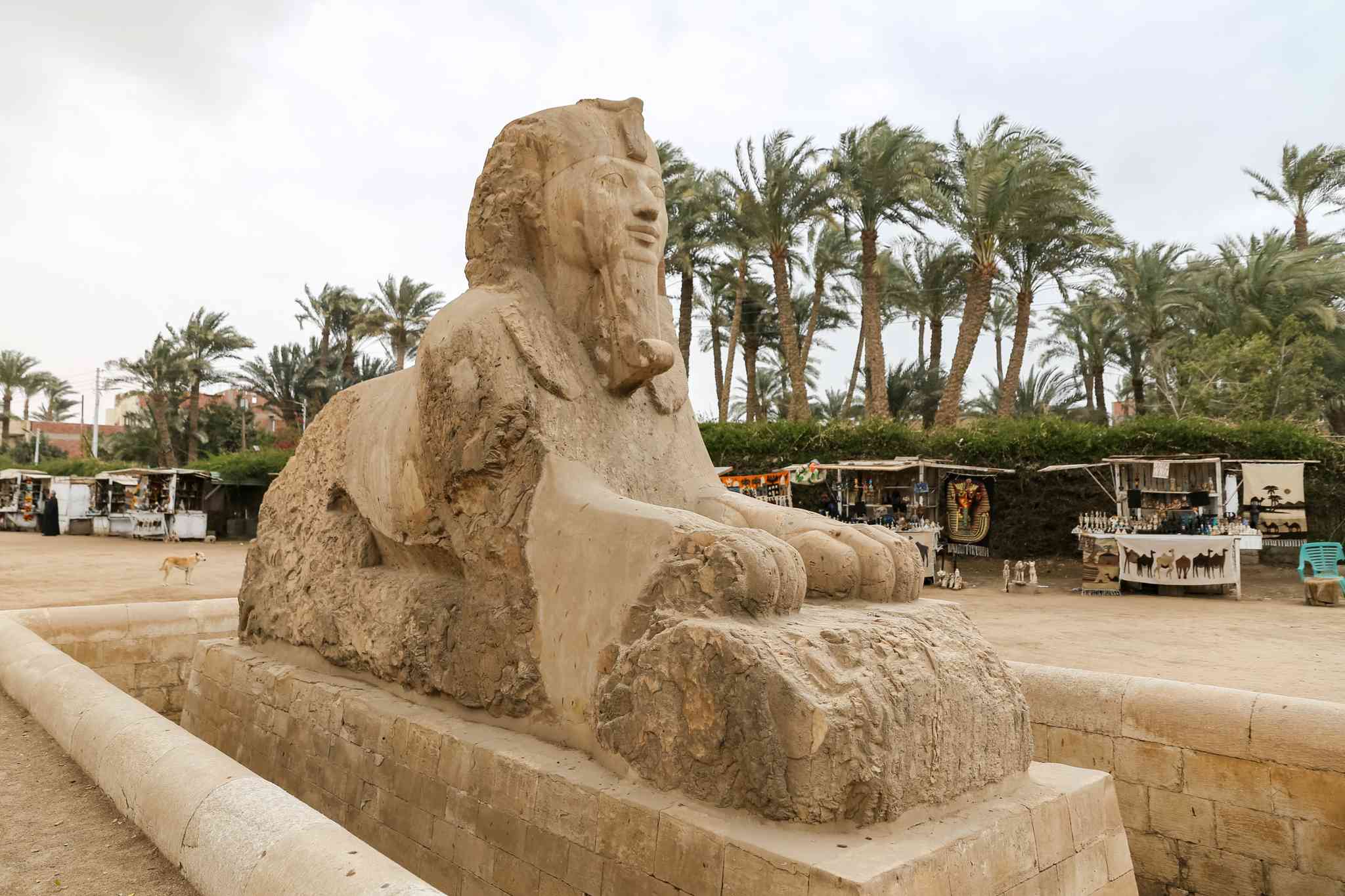 Vista panorámica de Memphis - excursión privada de un día desde Alexandria - foto 2