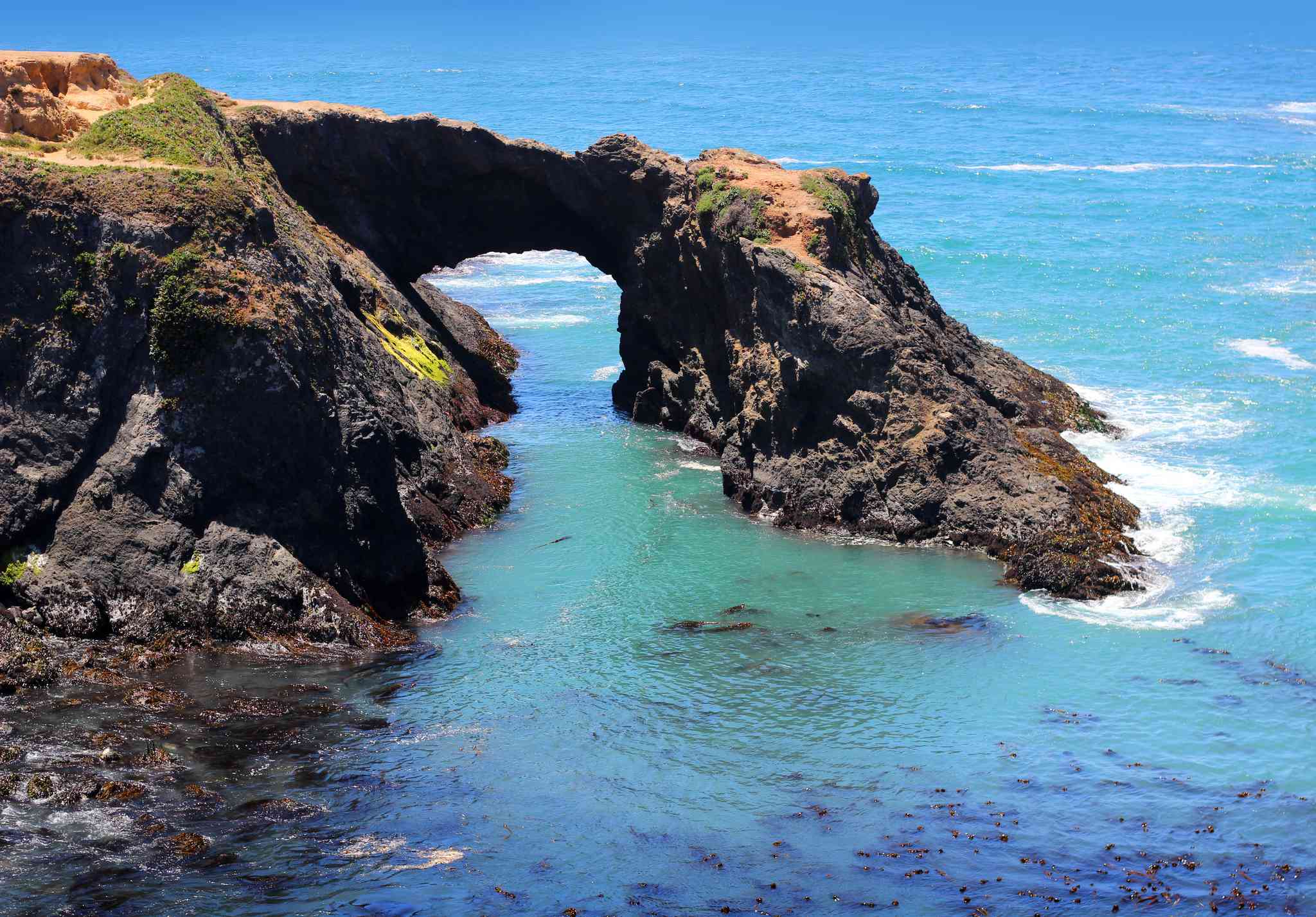 Scenic view of Berkeley - private day trip from Mendocino - photo 4