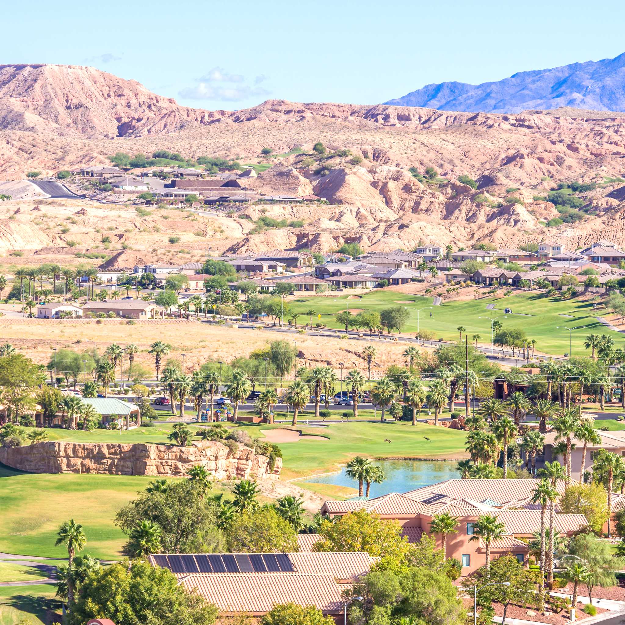 Mesquite